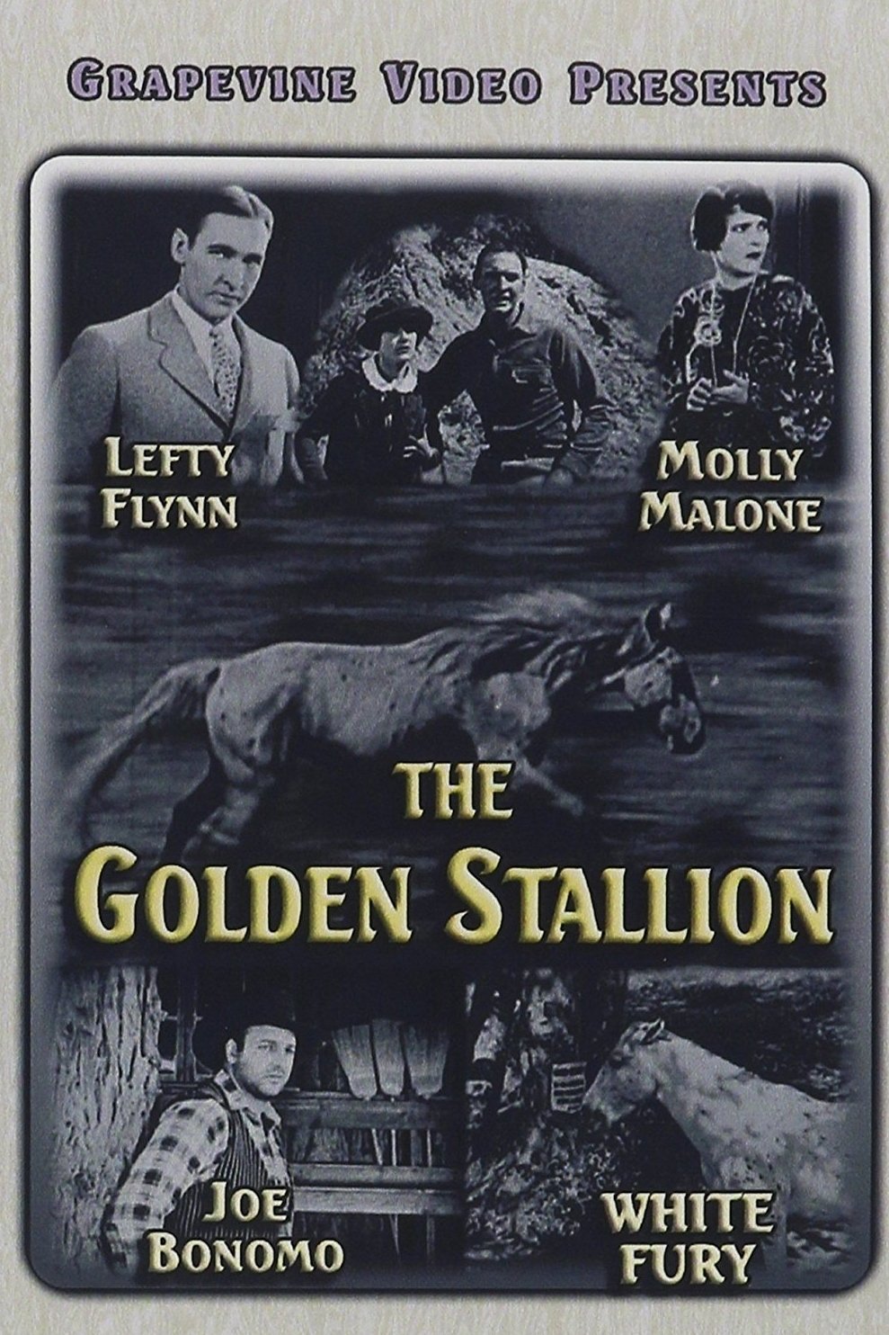 Poster de The Golden Stallion