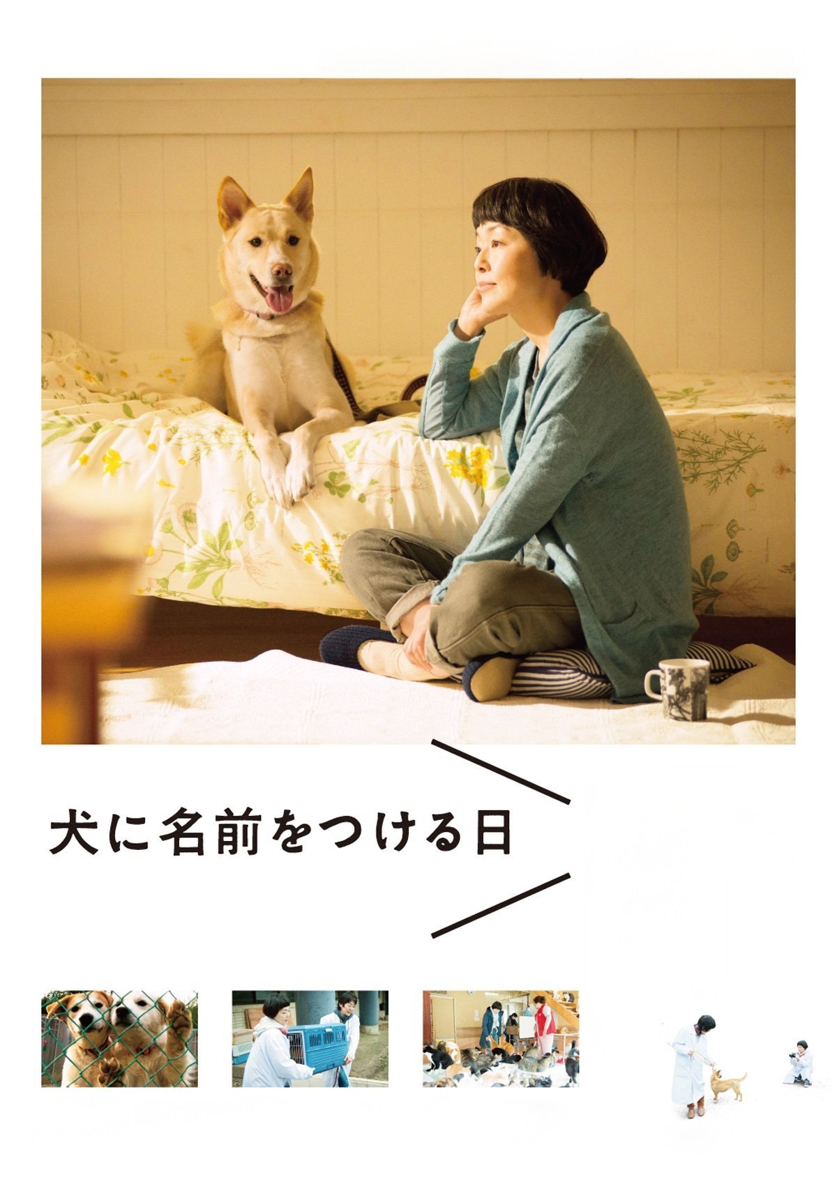 Card example background
