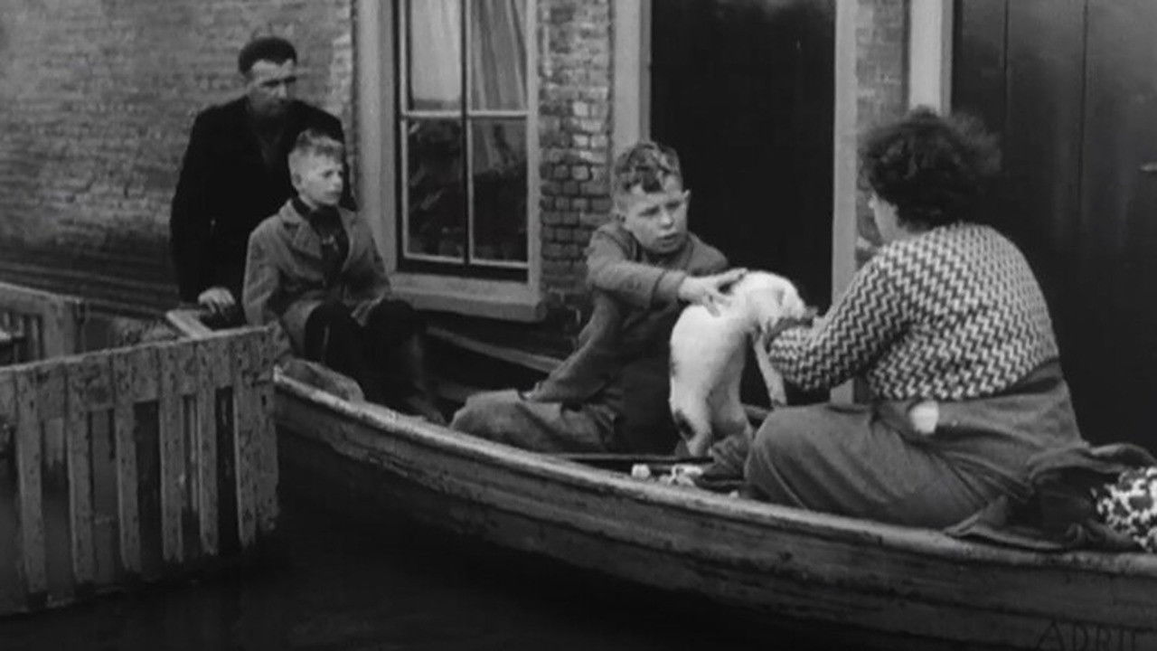 Episode 3: Struggle and Rise