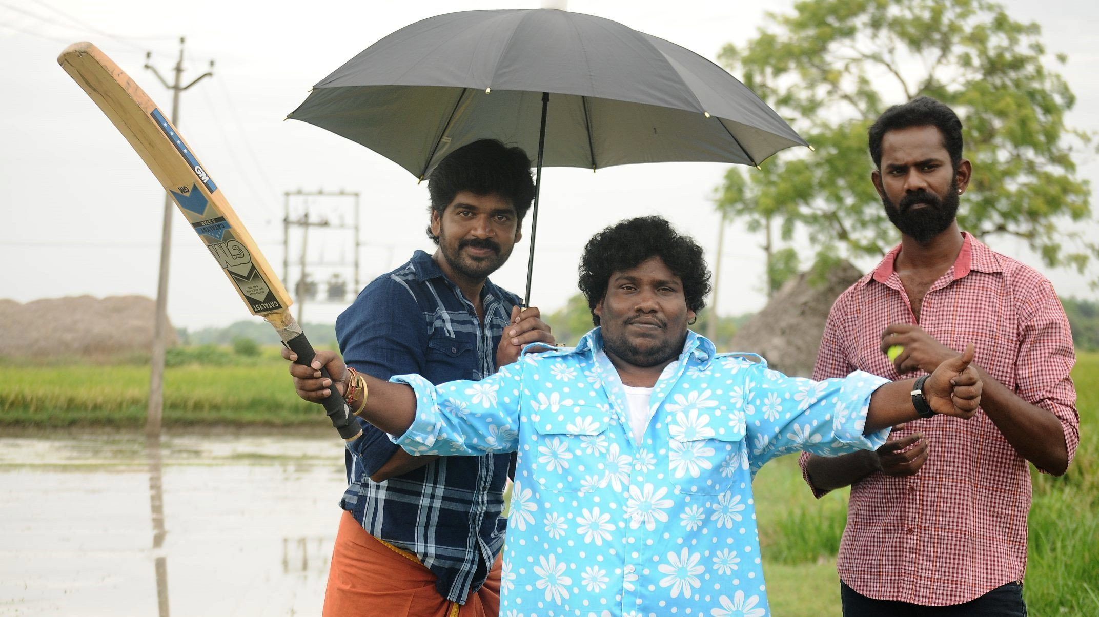 Director