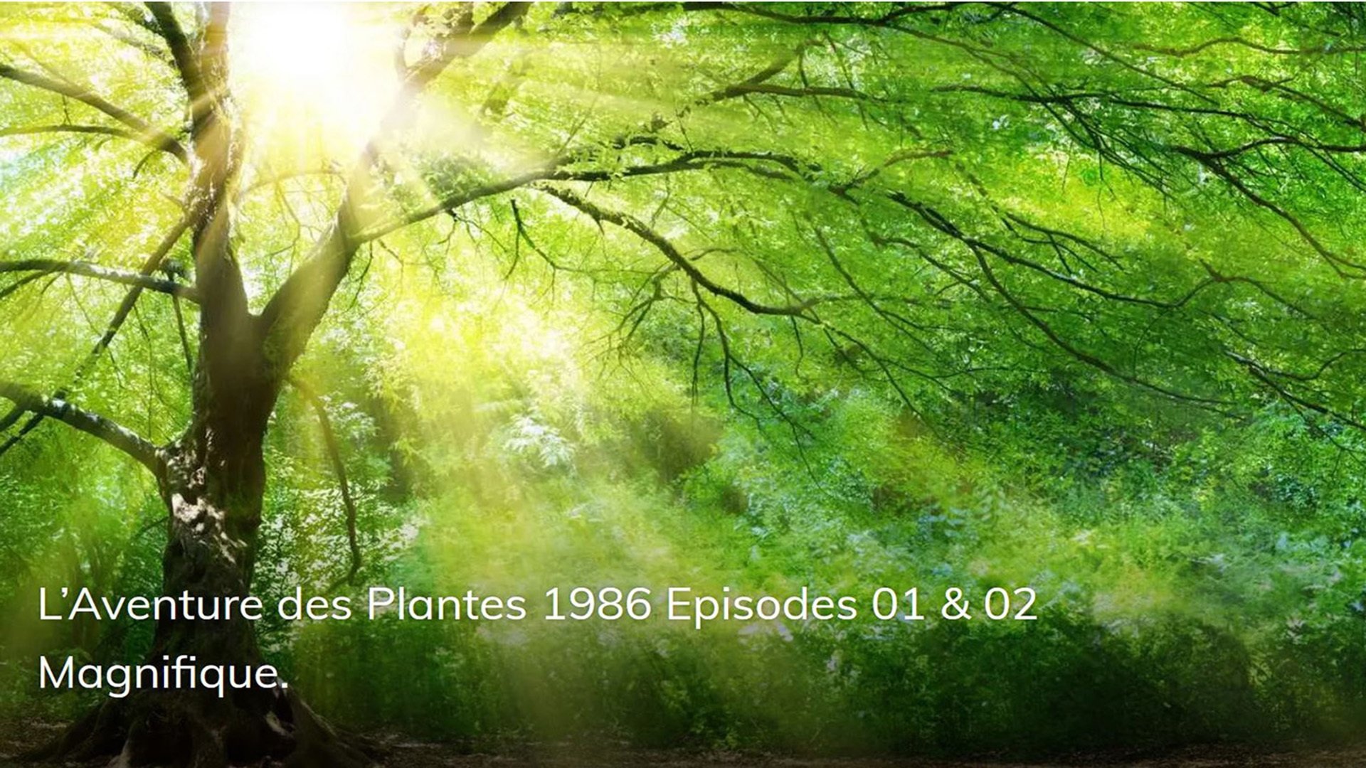 L'Aventure des Plantes