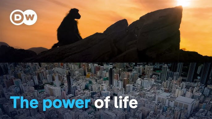 The story of our planet