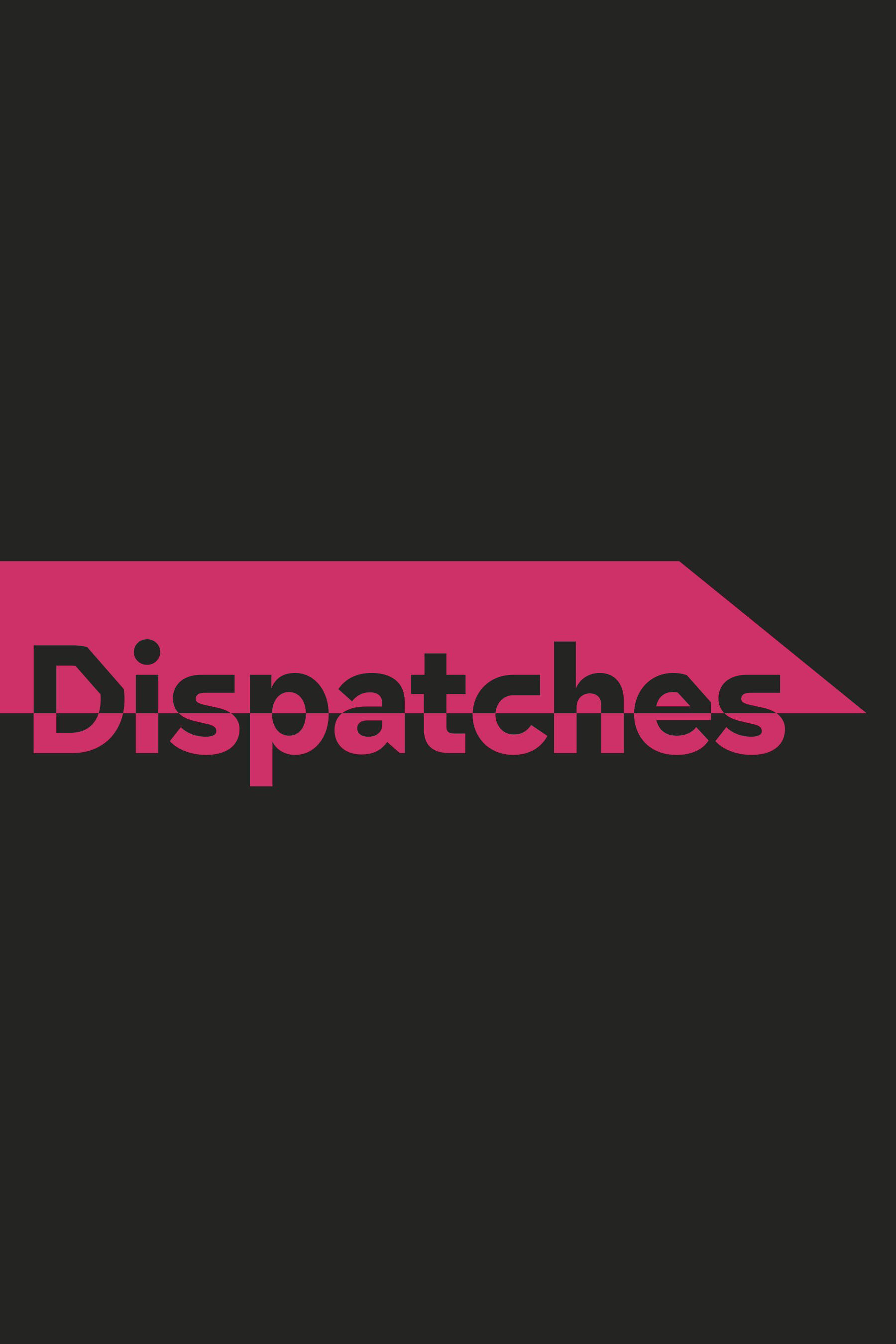 Poster de Dispatches