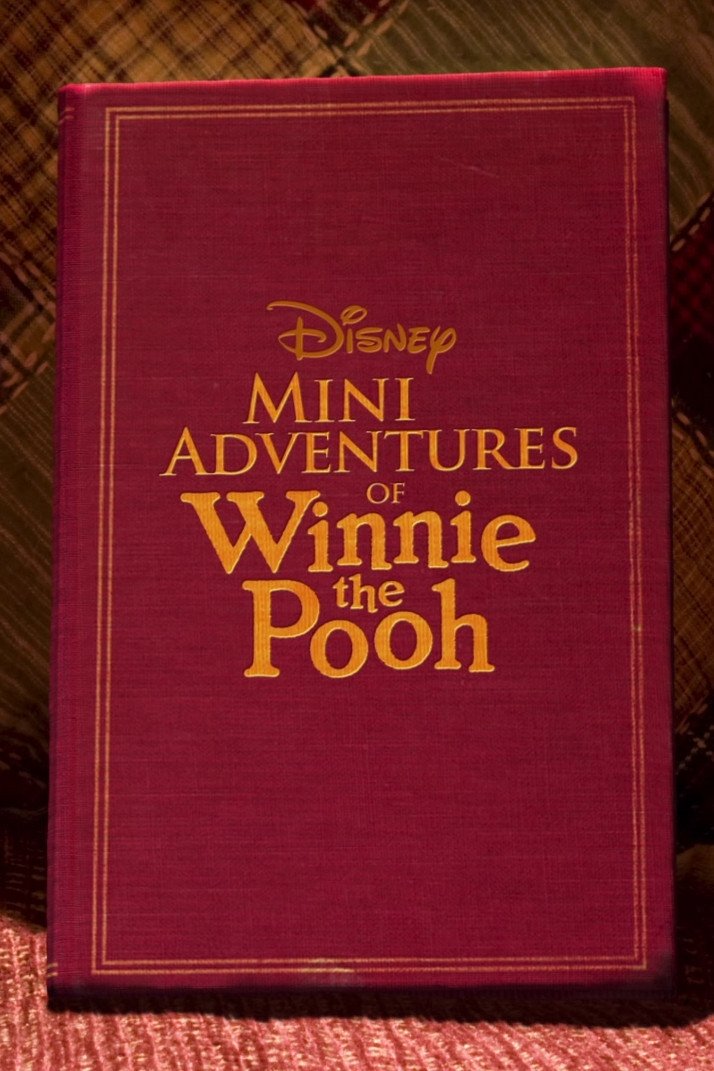 Poster de As Pequenas Aventuras de Winnie The Pooh