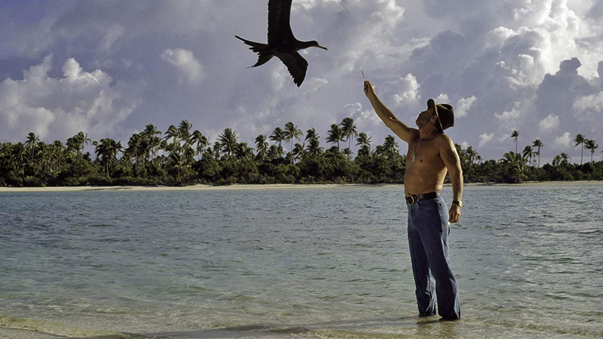 Backdrop image