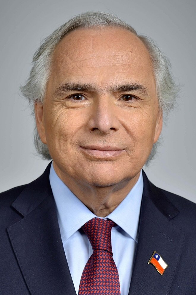 Foto de Andrés Chadwick