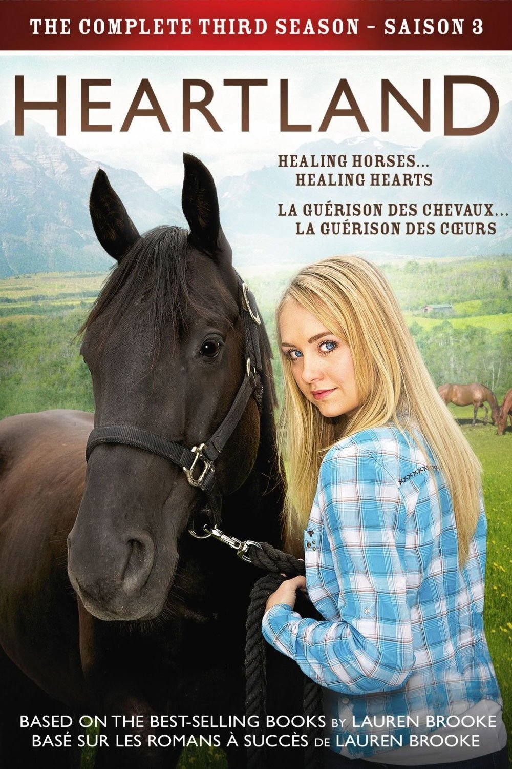 Poster de Temporada 3