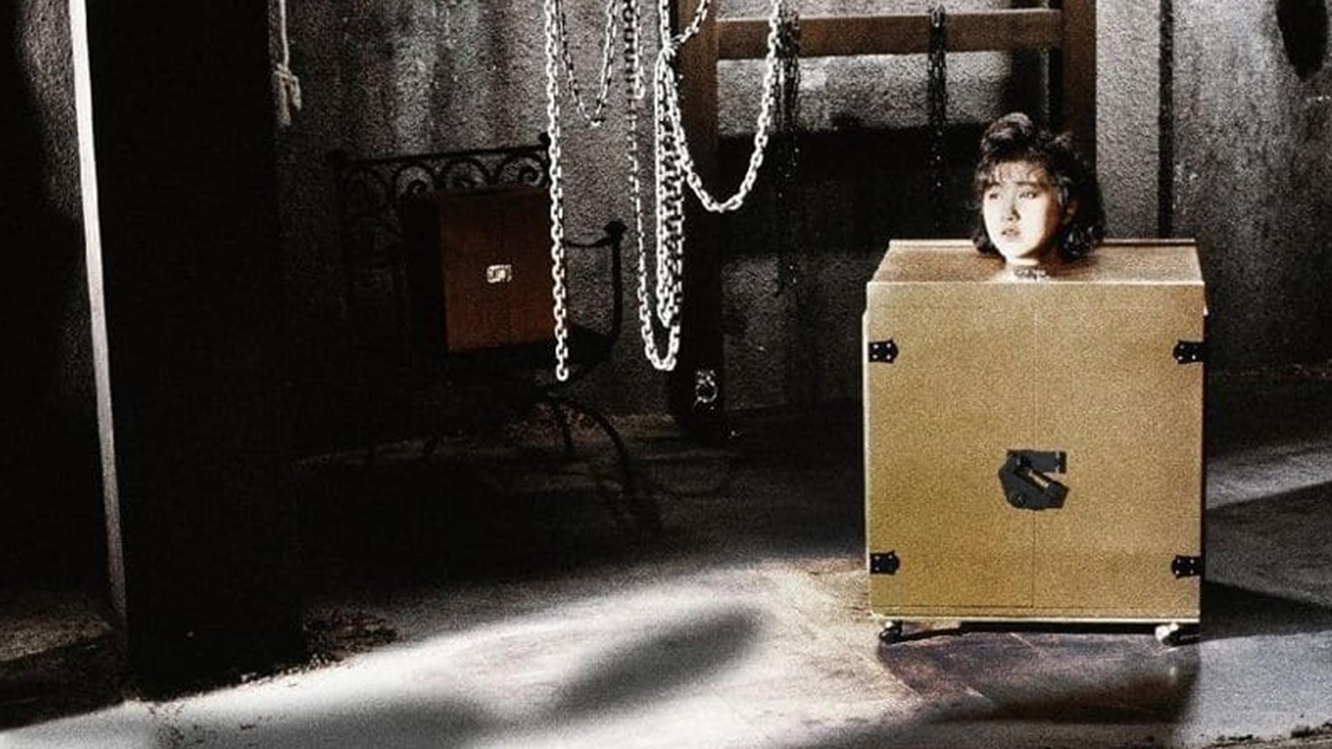 Woman in a Box Collection