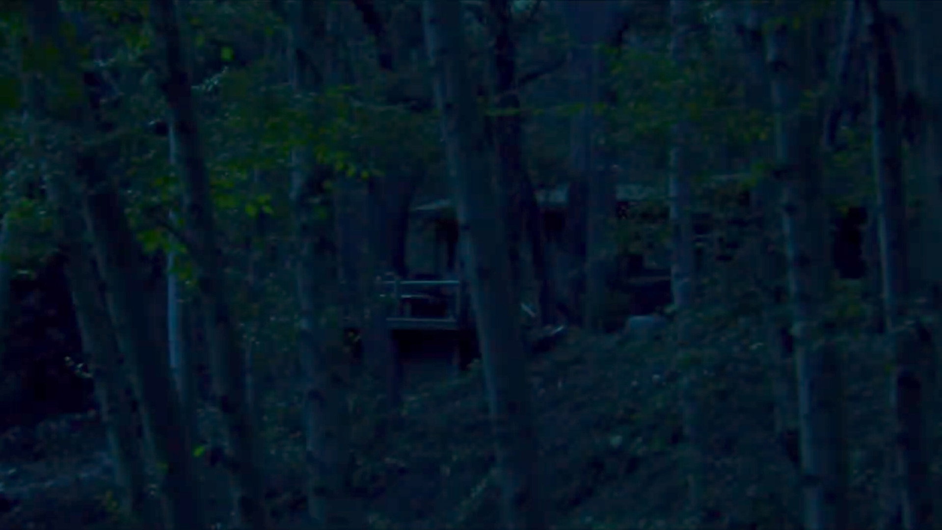 Lost Tales From Camp Blood Collection