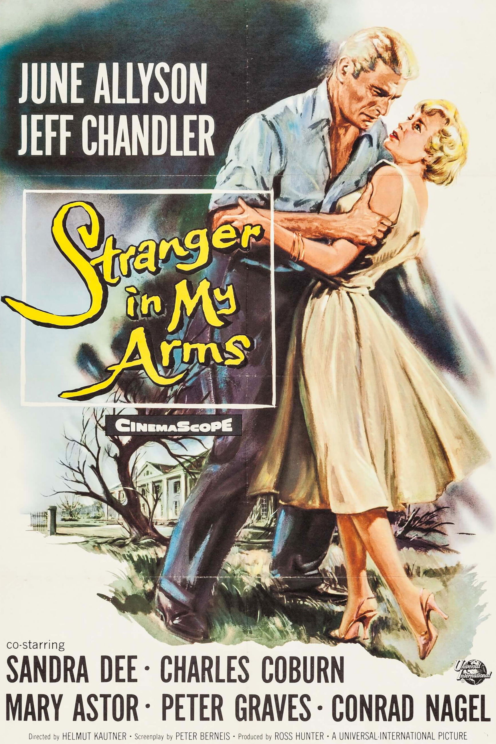 A Stranger in My Arms
