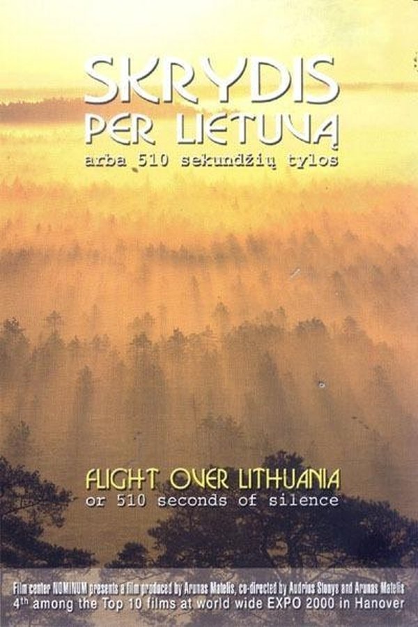 Poster de Skrydis per Lietuvą arba 510 sekundžių tylos