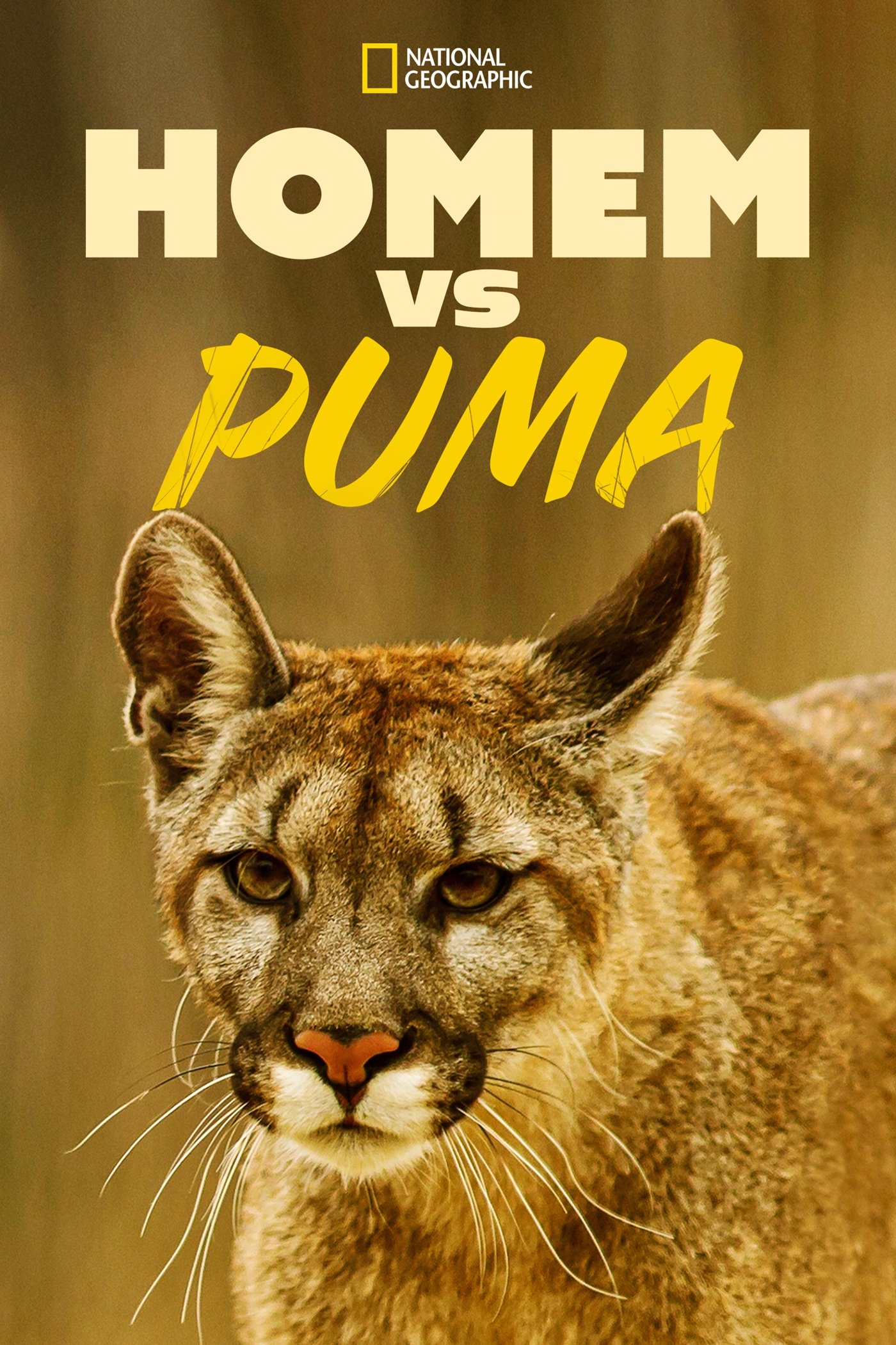 Poster de Homem Vs. Puma