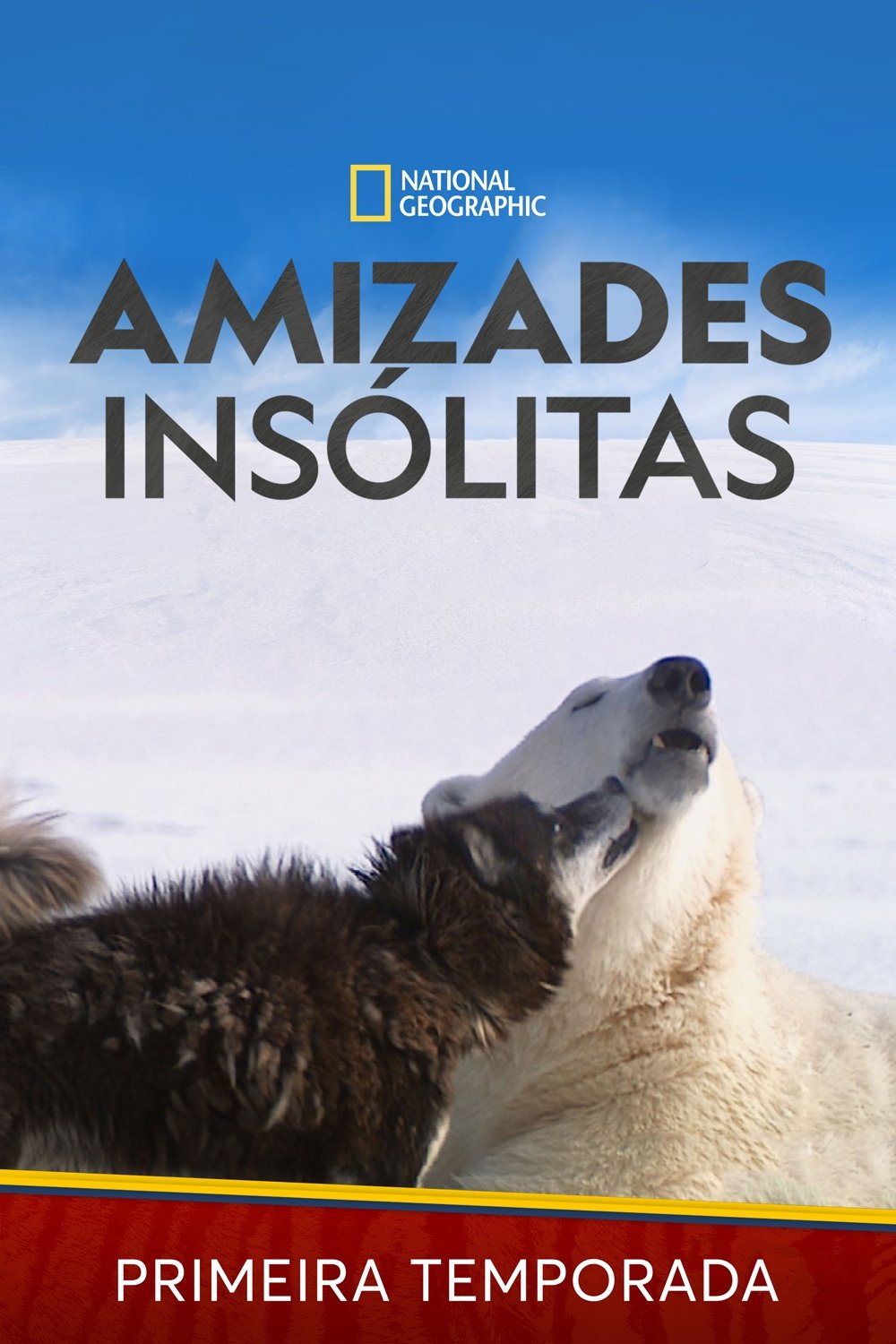 Poster de Temporada 1