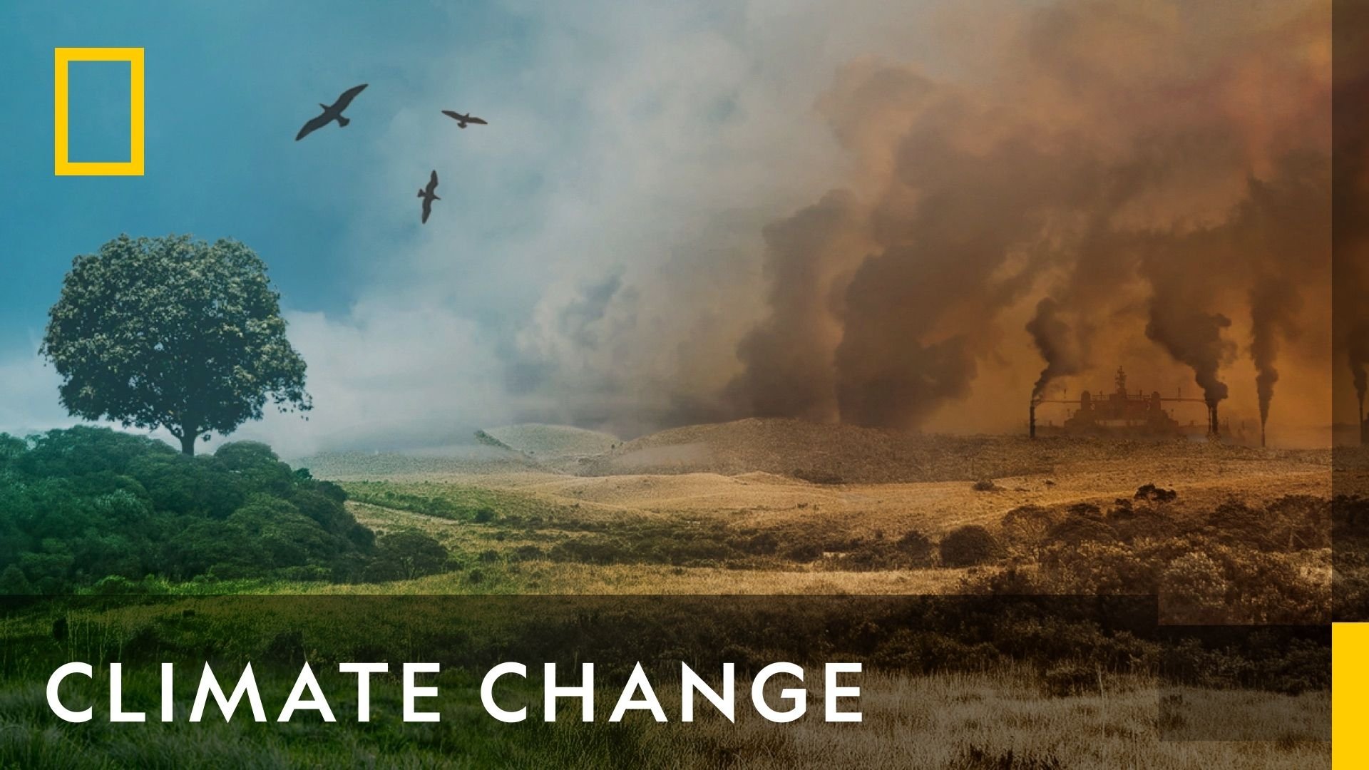 Climate Change