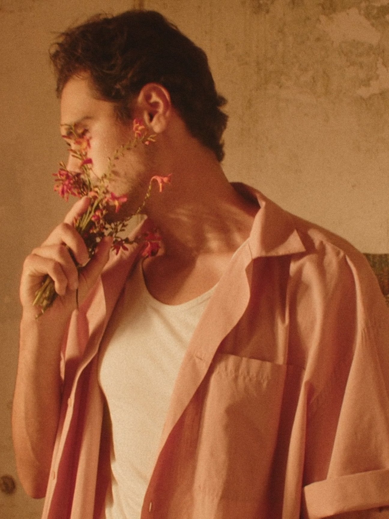 Poster de Fever Dream