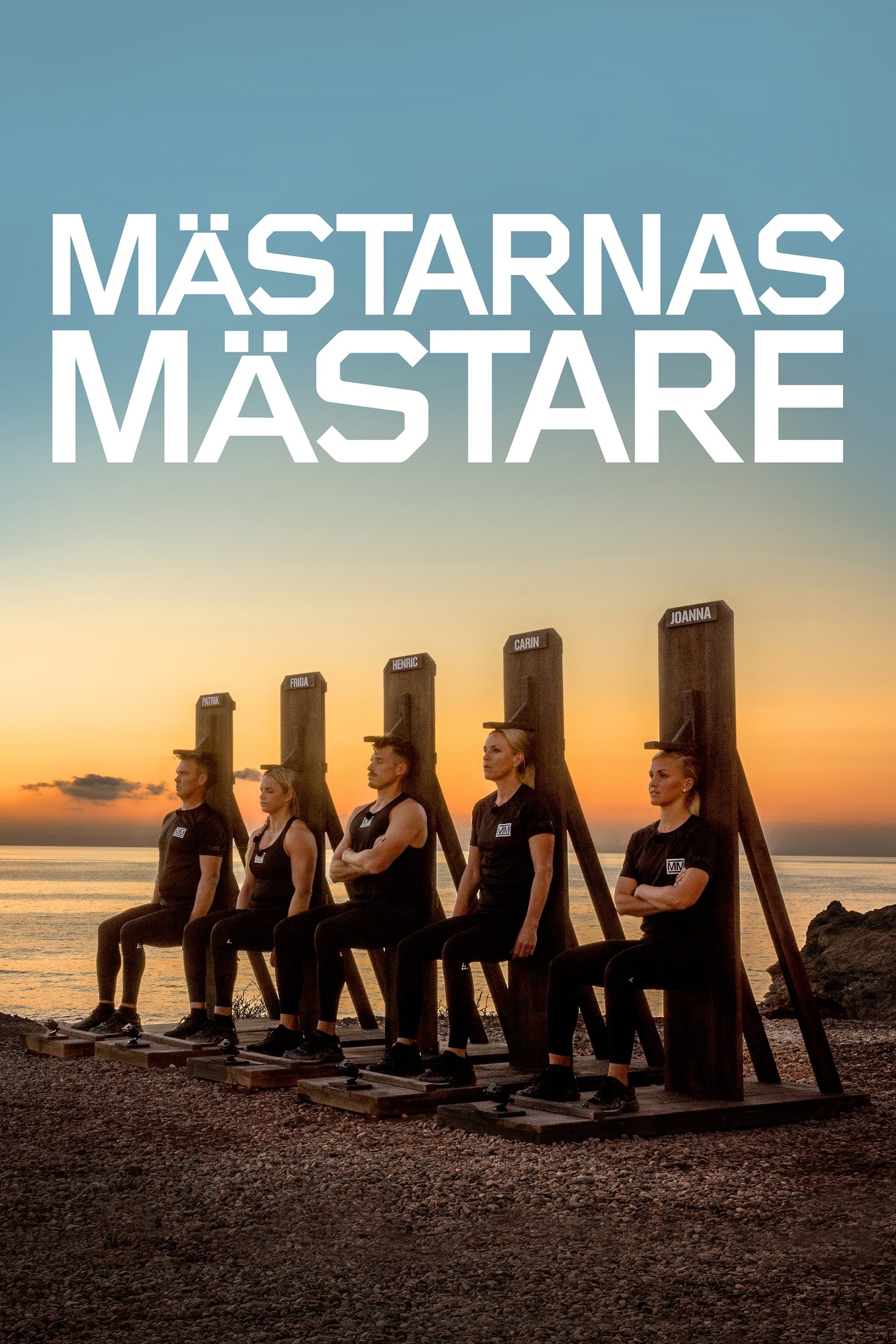 Poster de Temporada 14