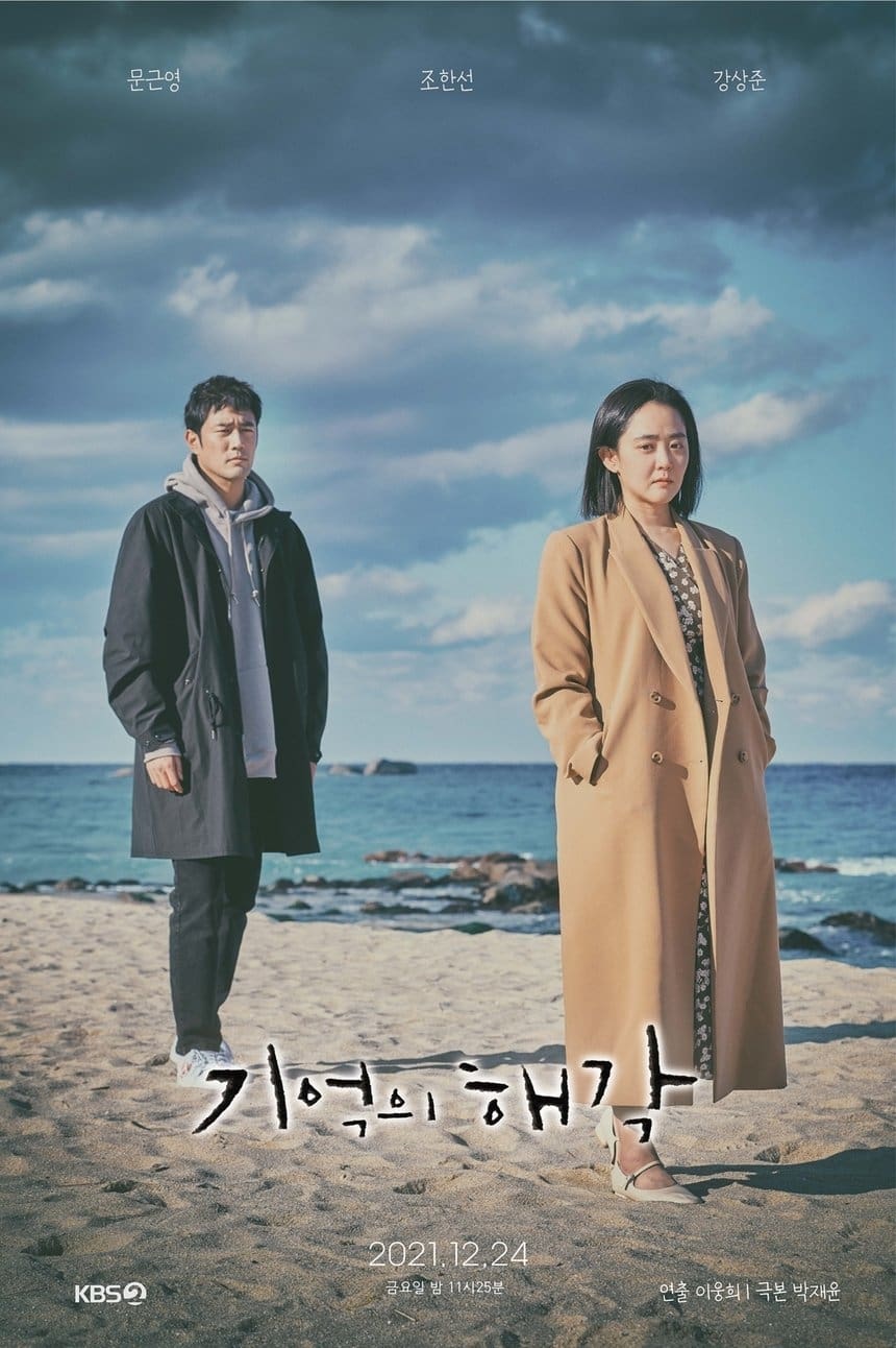 Poster de 기억의 해각