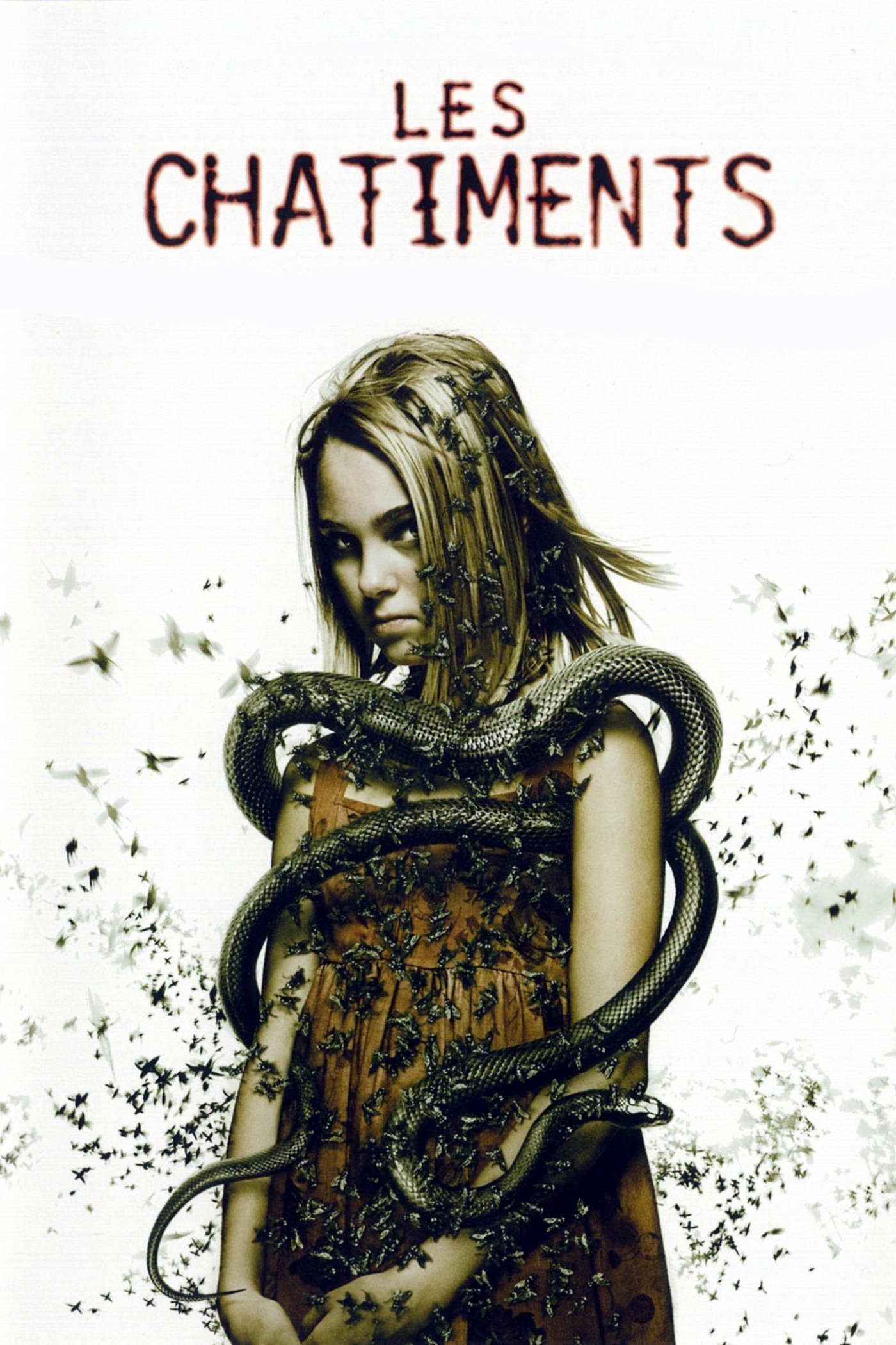 Affiche du film The Reaping