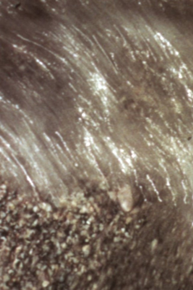 Poster de Watercourse