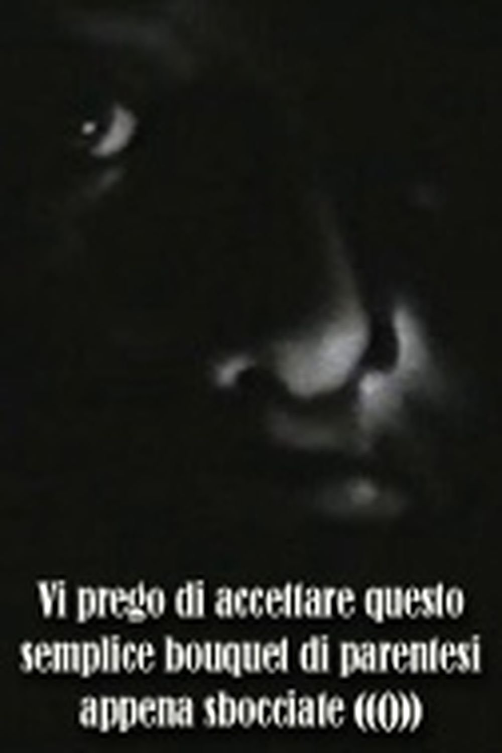 Poster de Vi prego di accettare questo semplice bouquet di parentesi appena sbocciate
