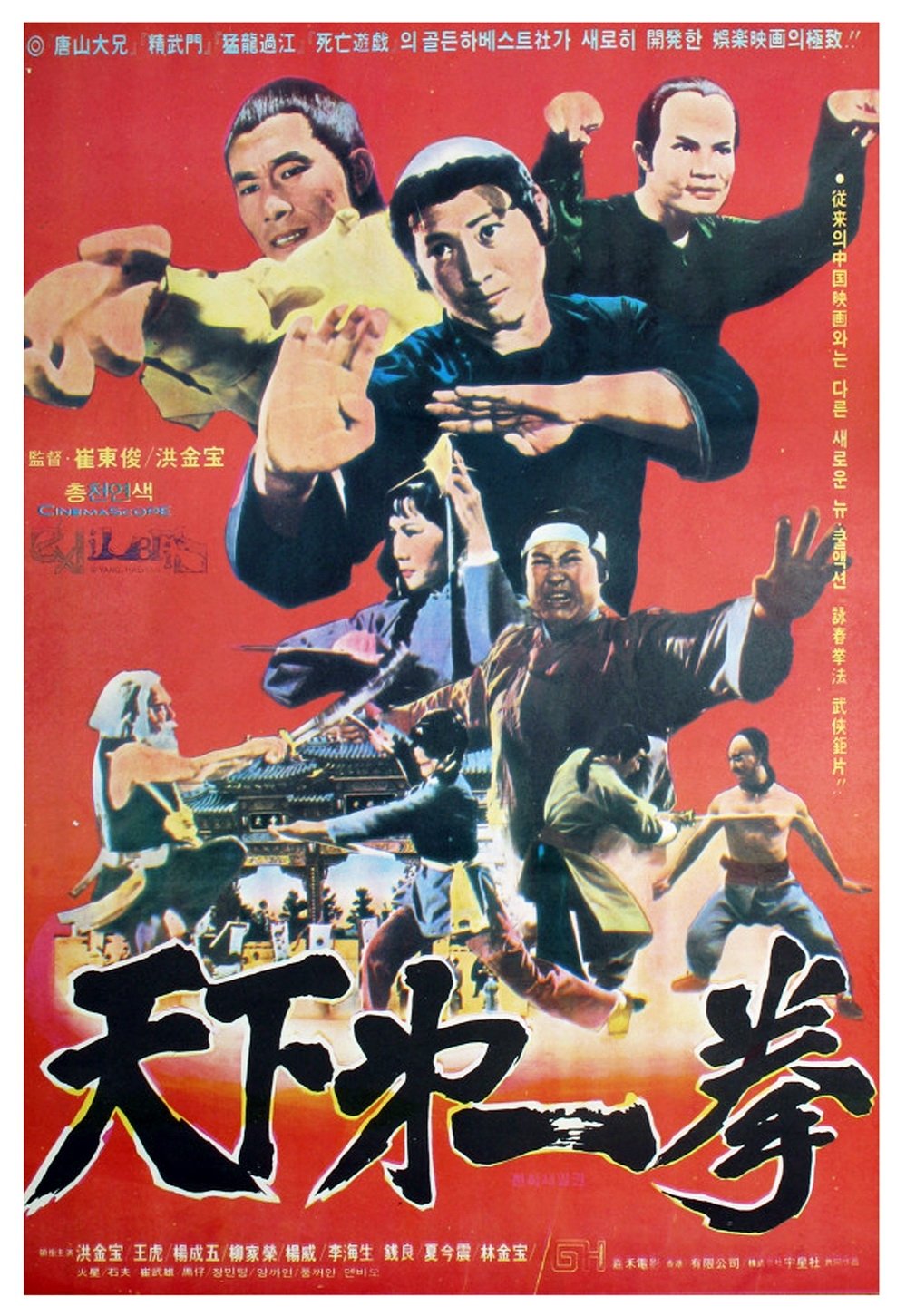 Poster de A Grande Luta