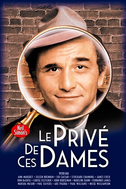 Affiche du film Le Privé de ces dames