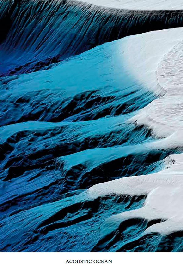 Poster de Acoustic Ocean