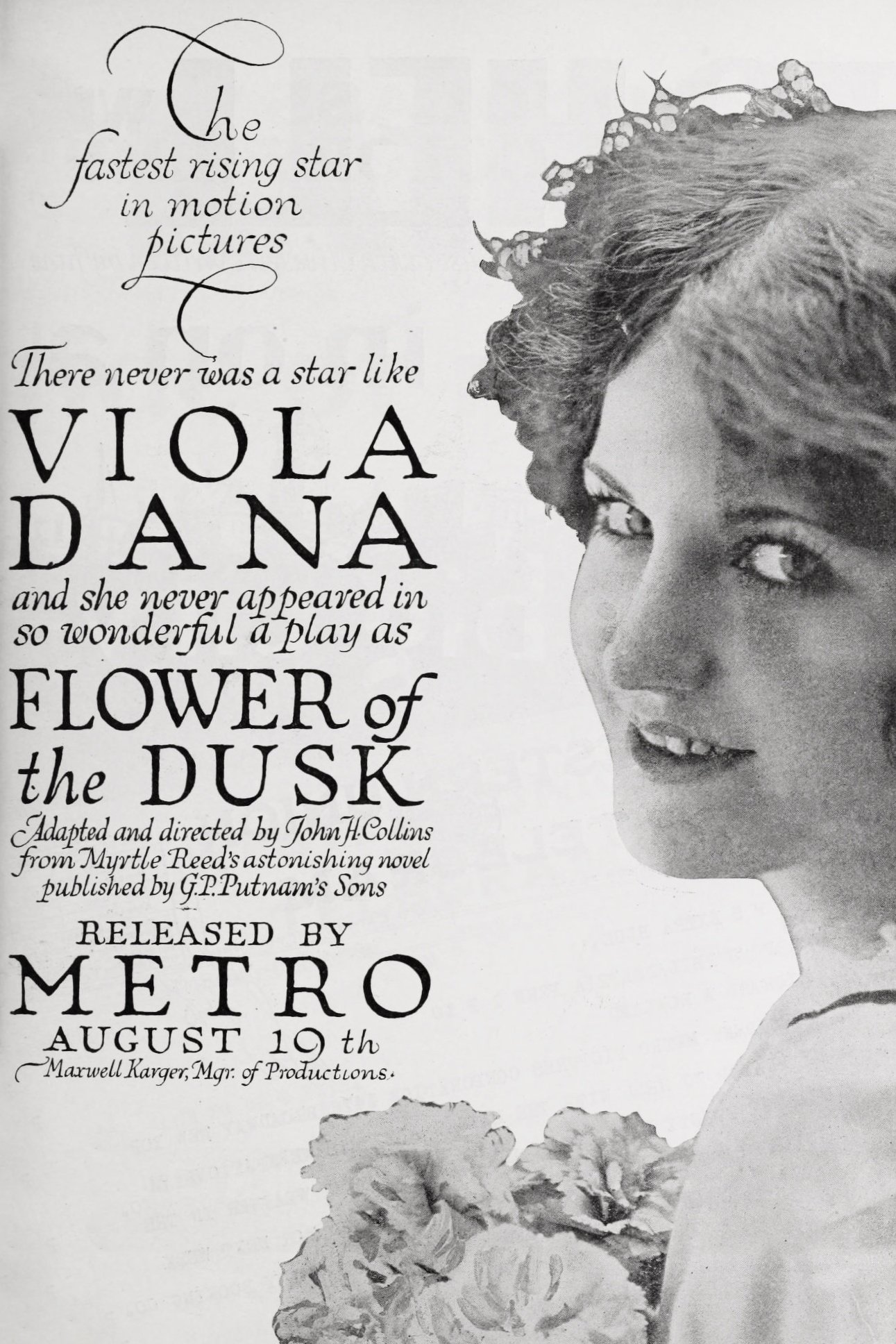 Poster de Flower of the Dusk