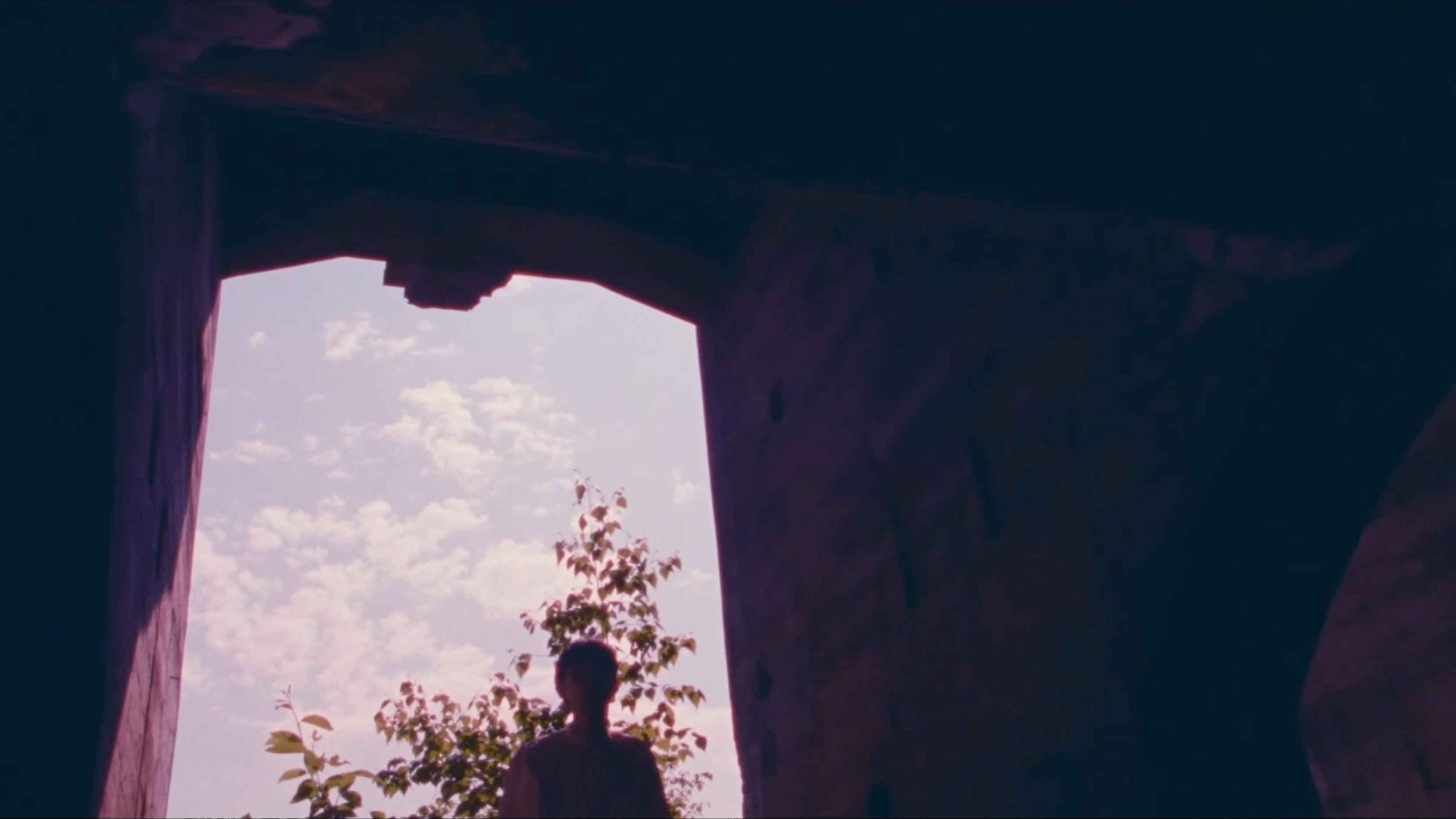 backdrops