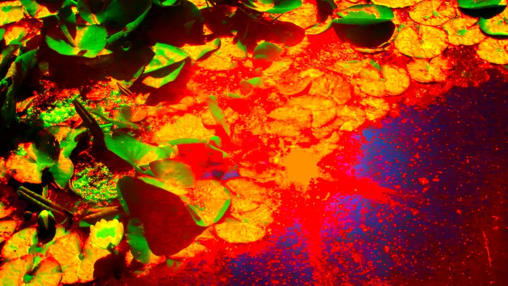 Backdrop image