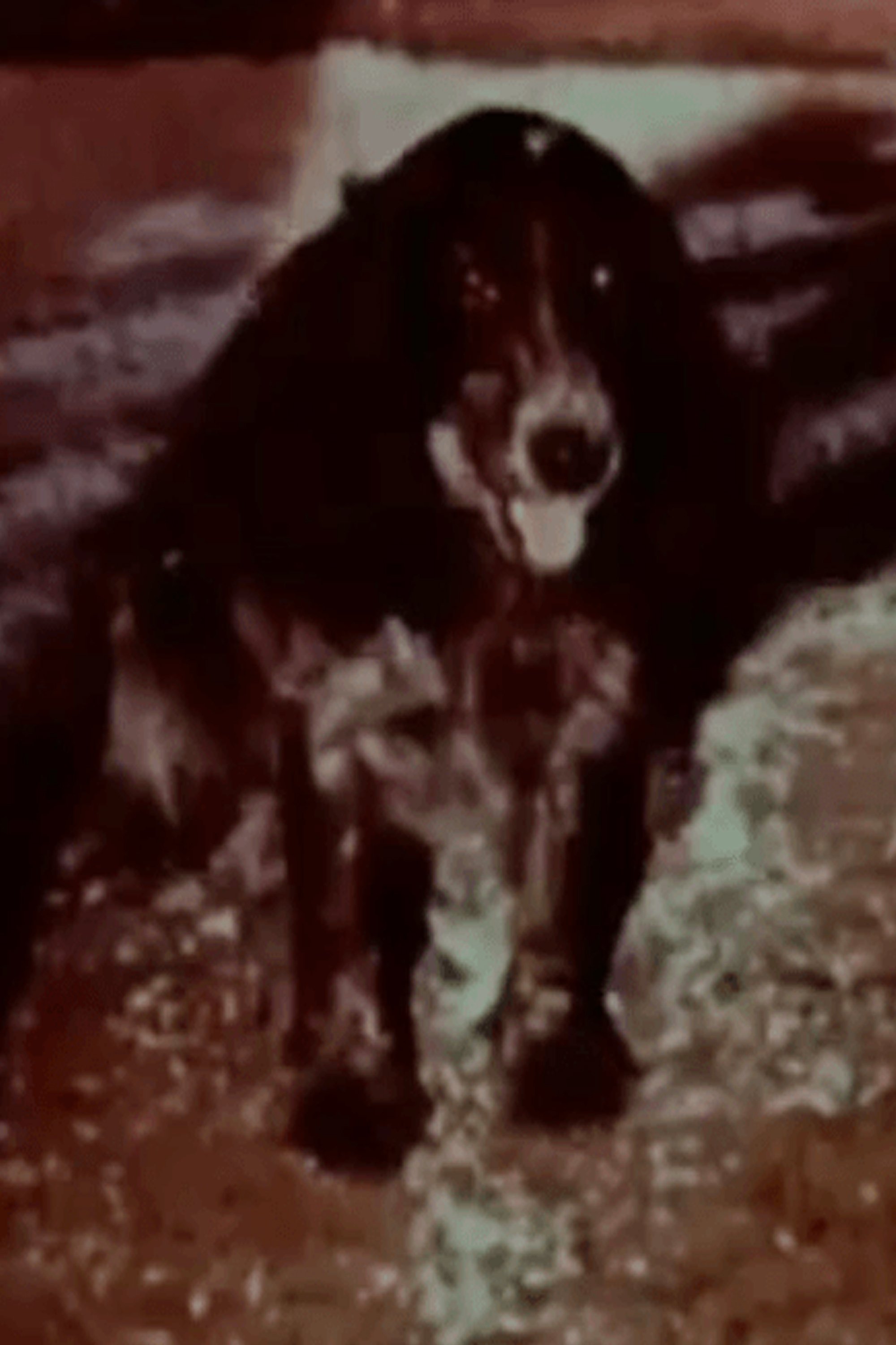 Movie picture