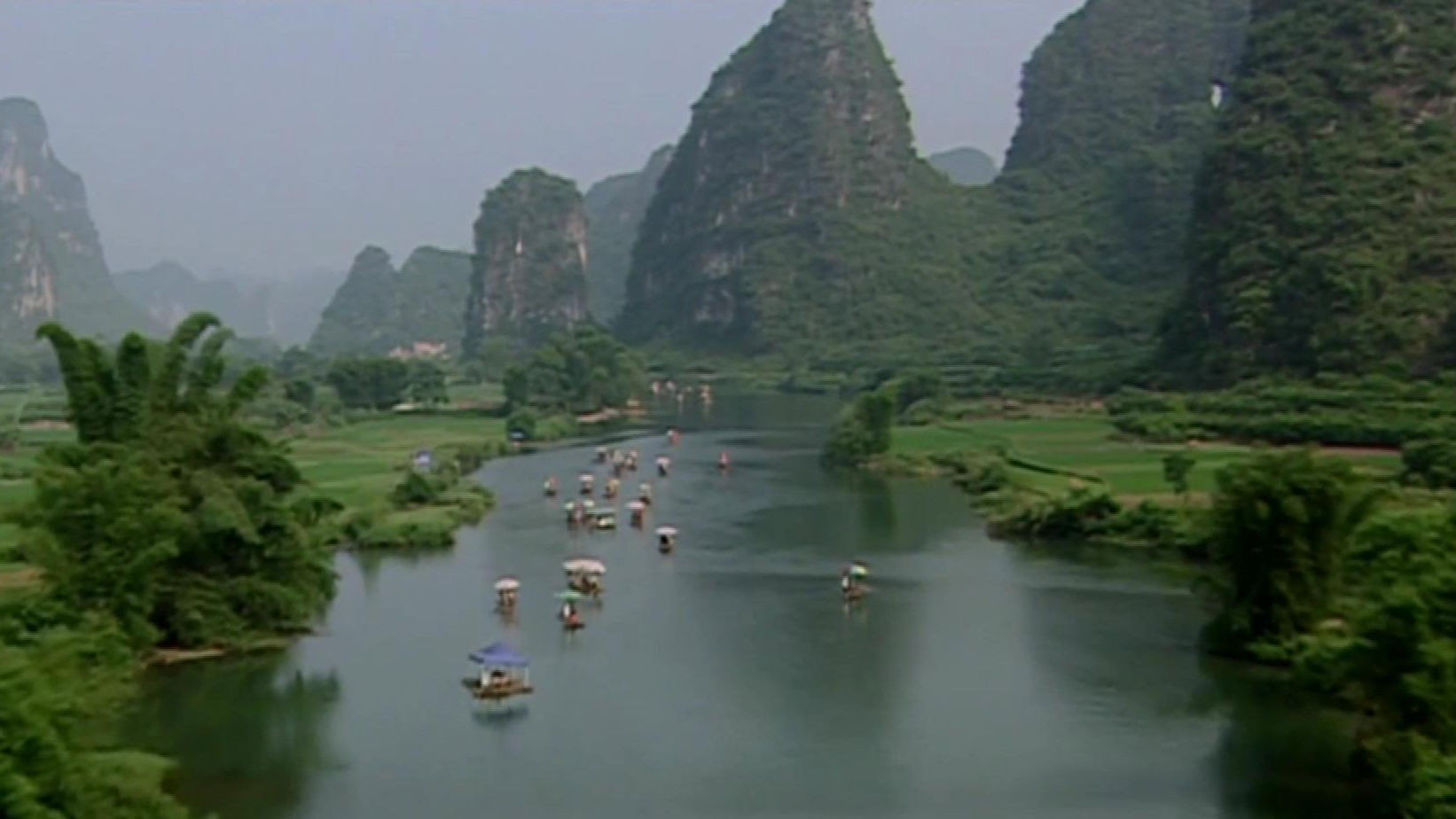 In the Kingdom of Fish