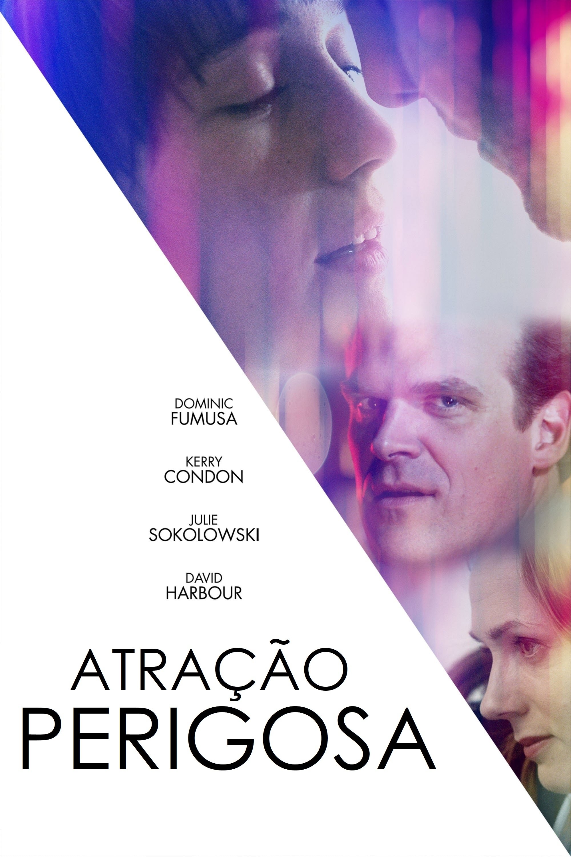Poster de Atração Perigosa