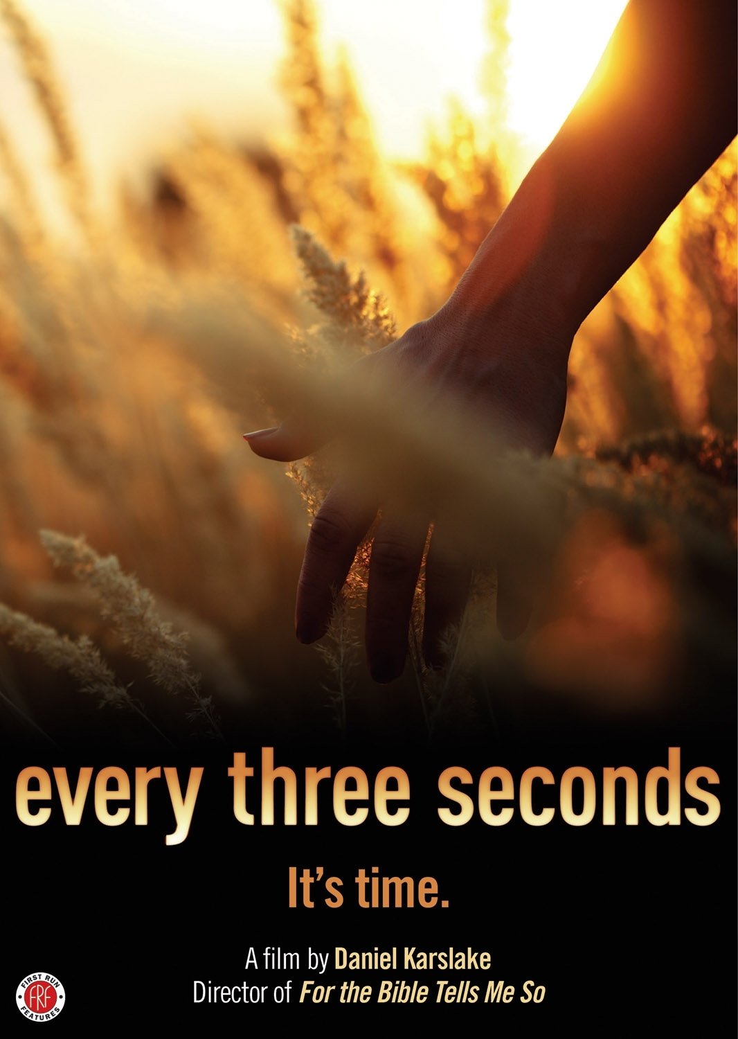 Poster de Every Three Seconds