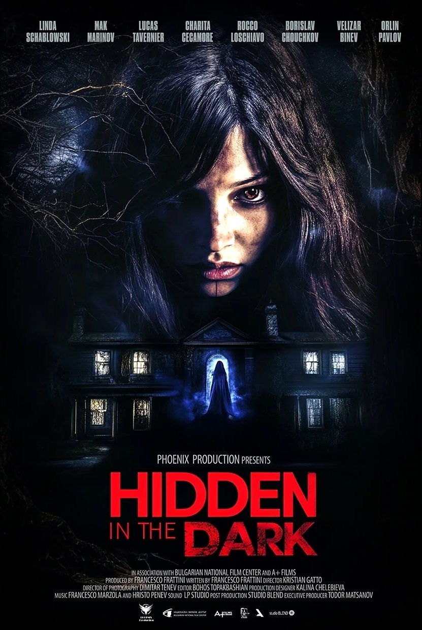 Poster de Hidden in the Dark