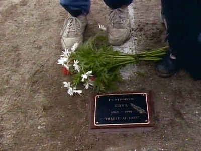 Valentine's Day Massacre