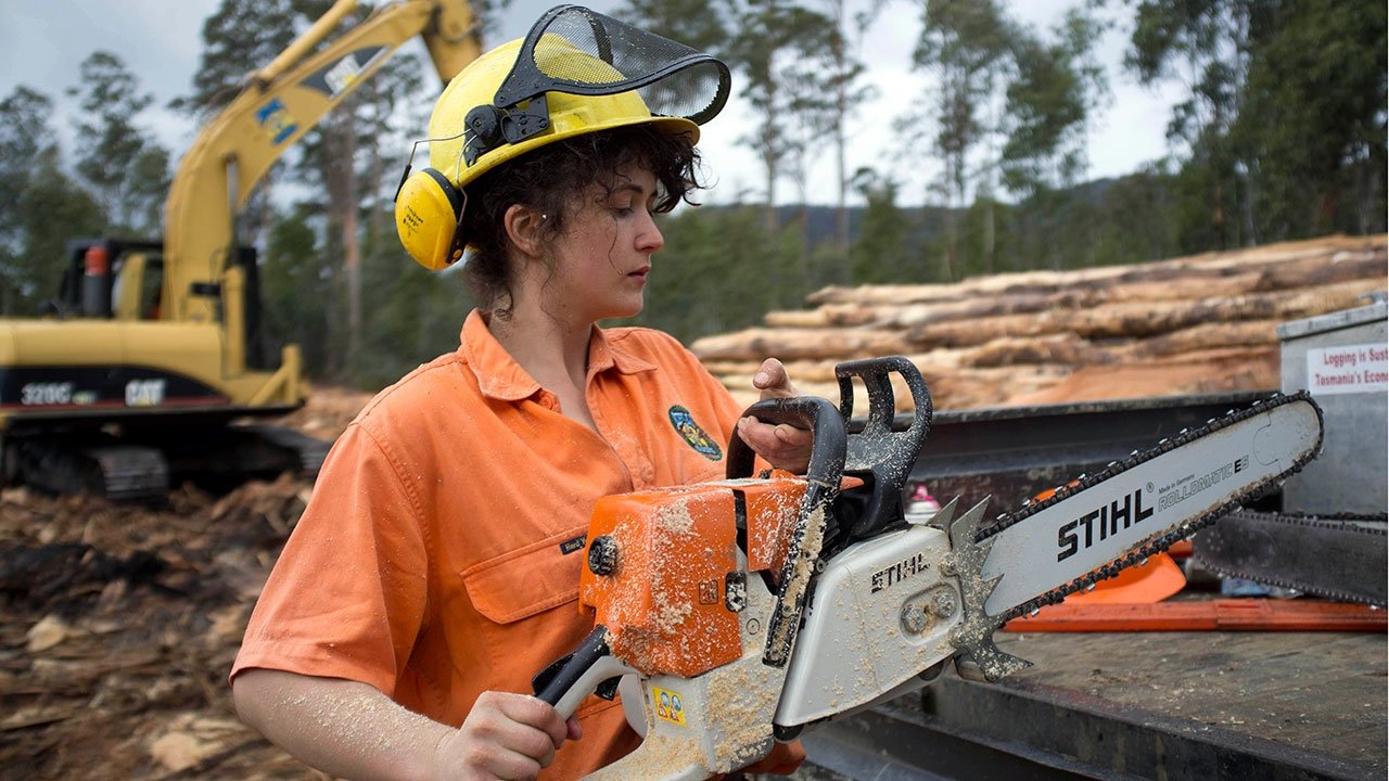 Tassie Logger