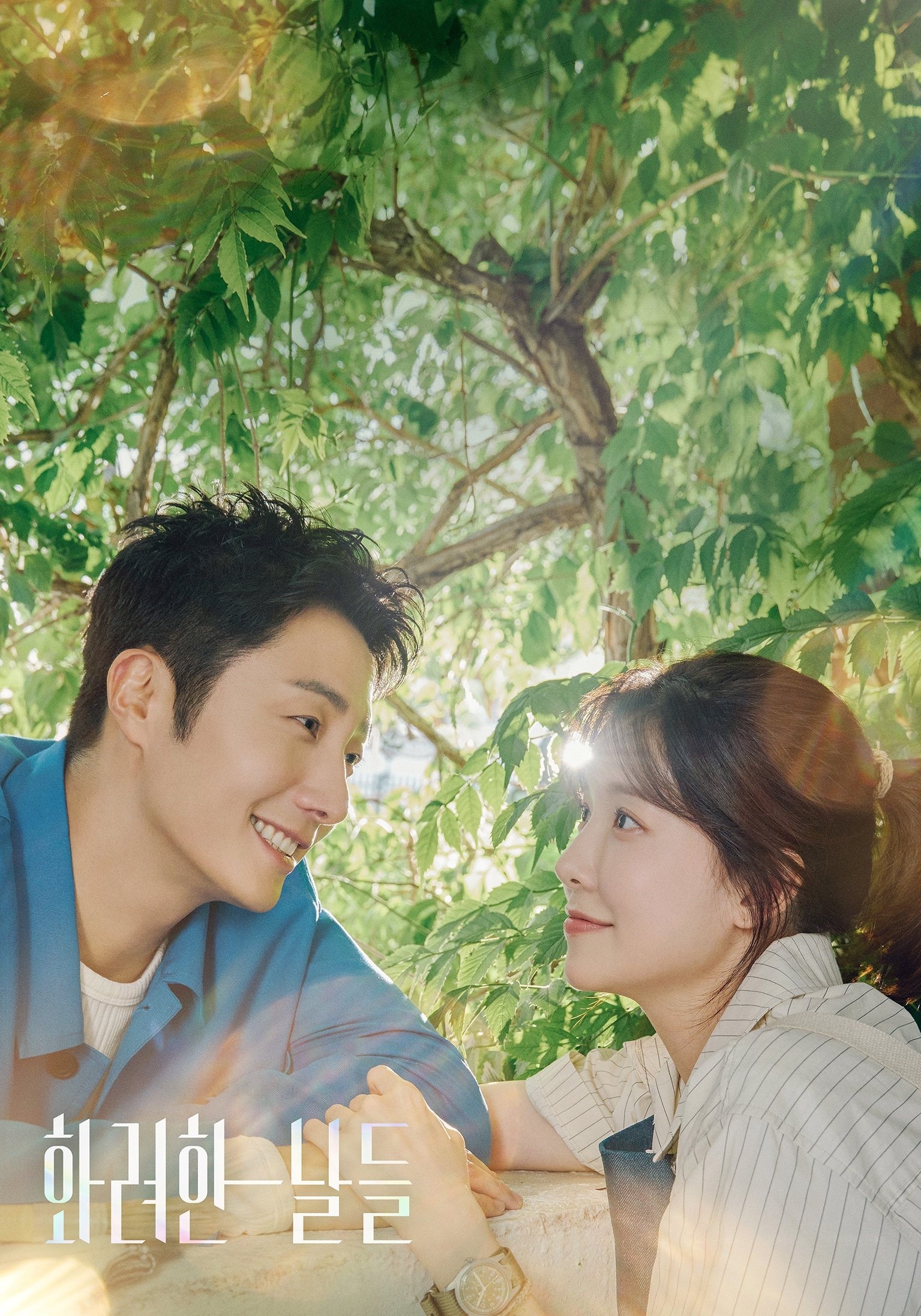 Poster de 화려한 날들