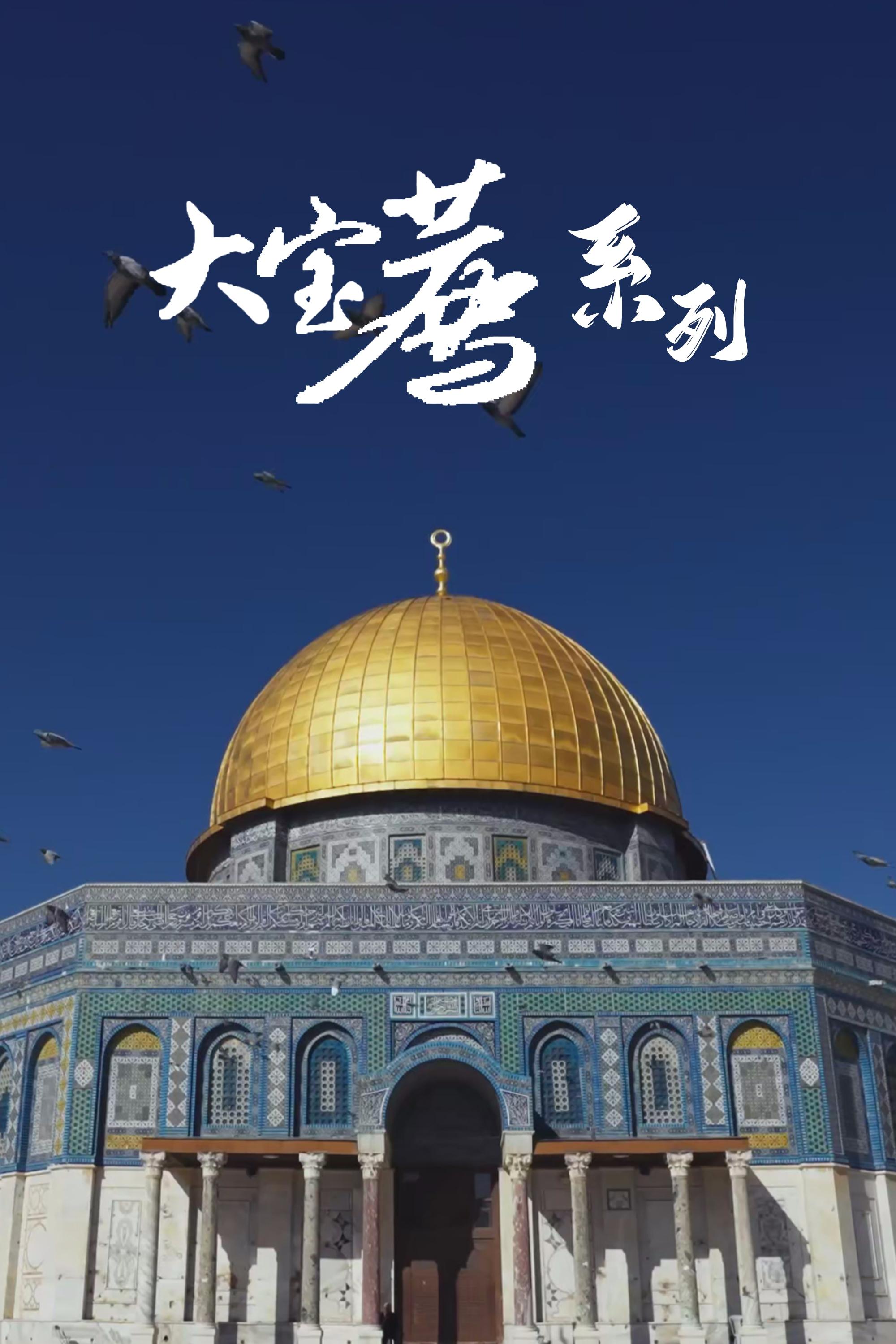Poster de 大宝荐系列