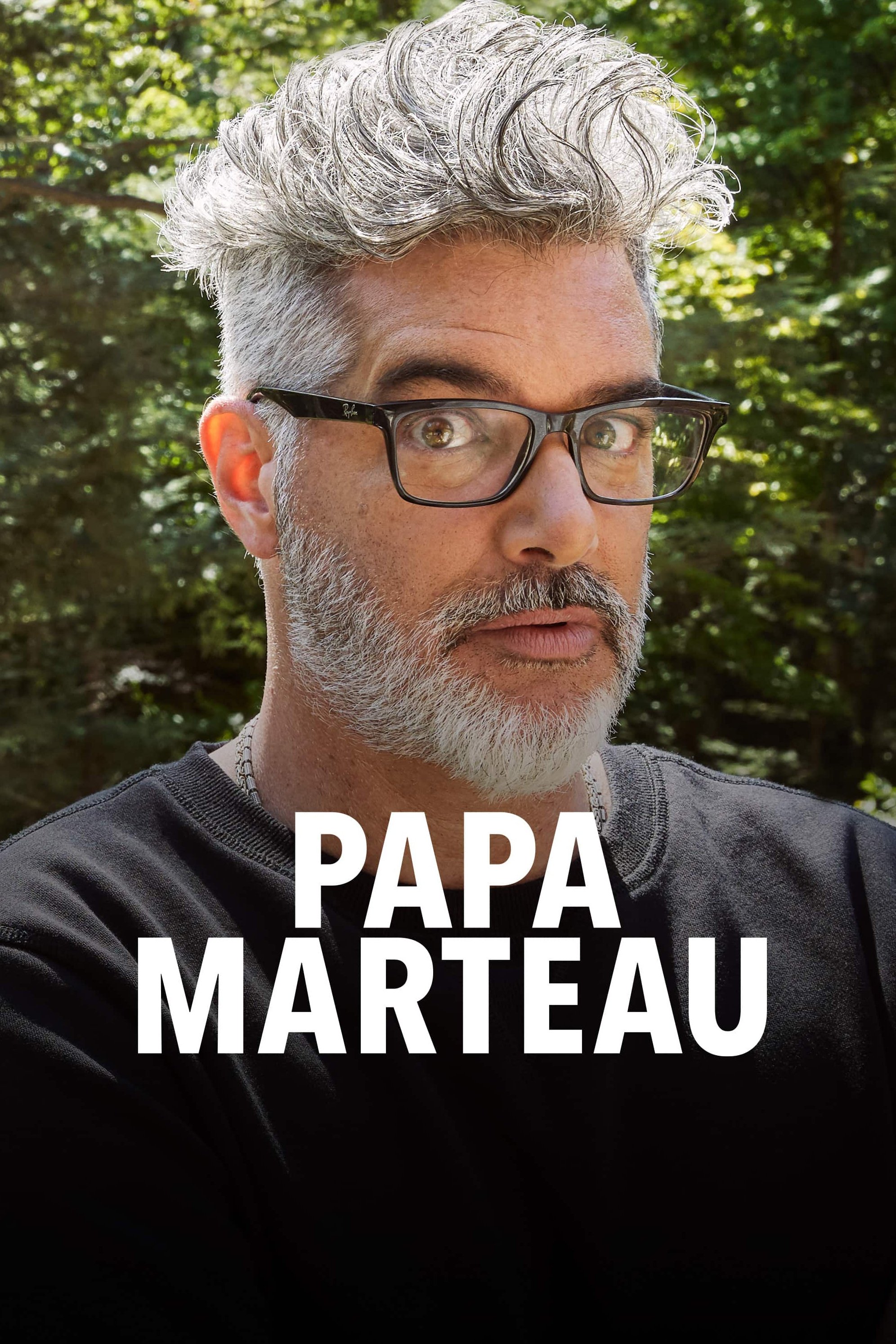 Poster de Papa marteau