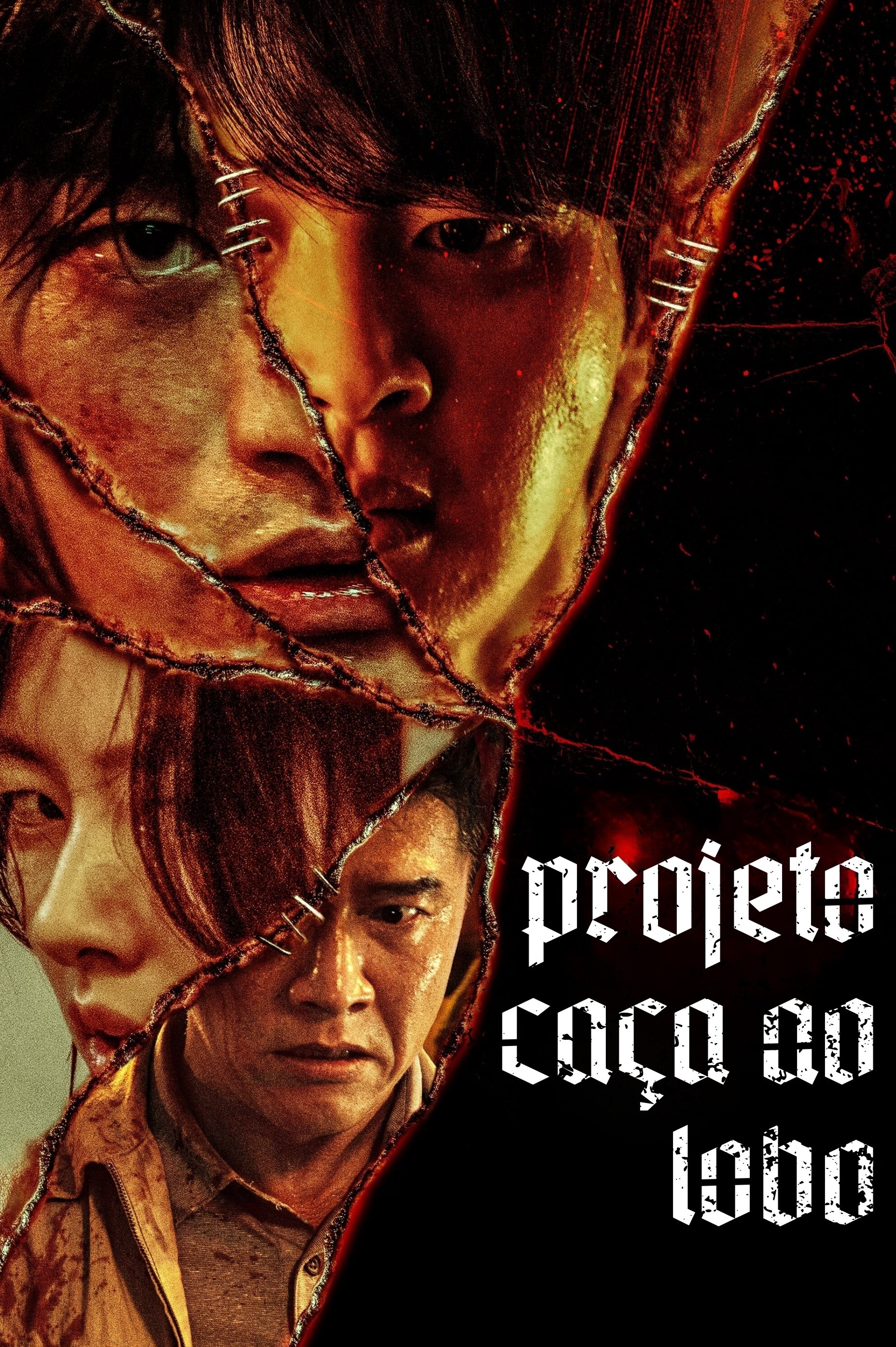 Poster de Projeto Caça ao Lobo