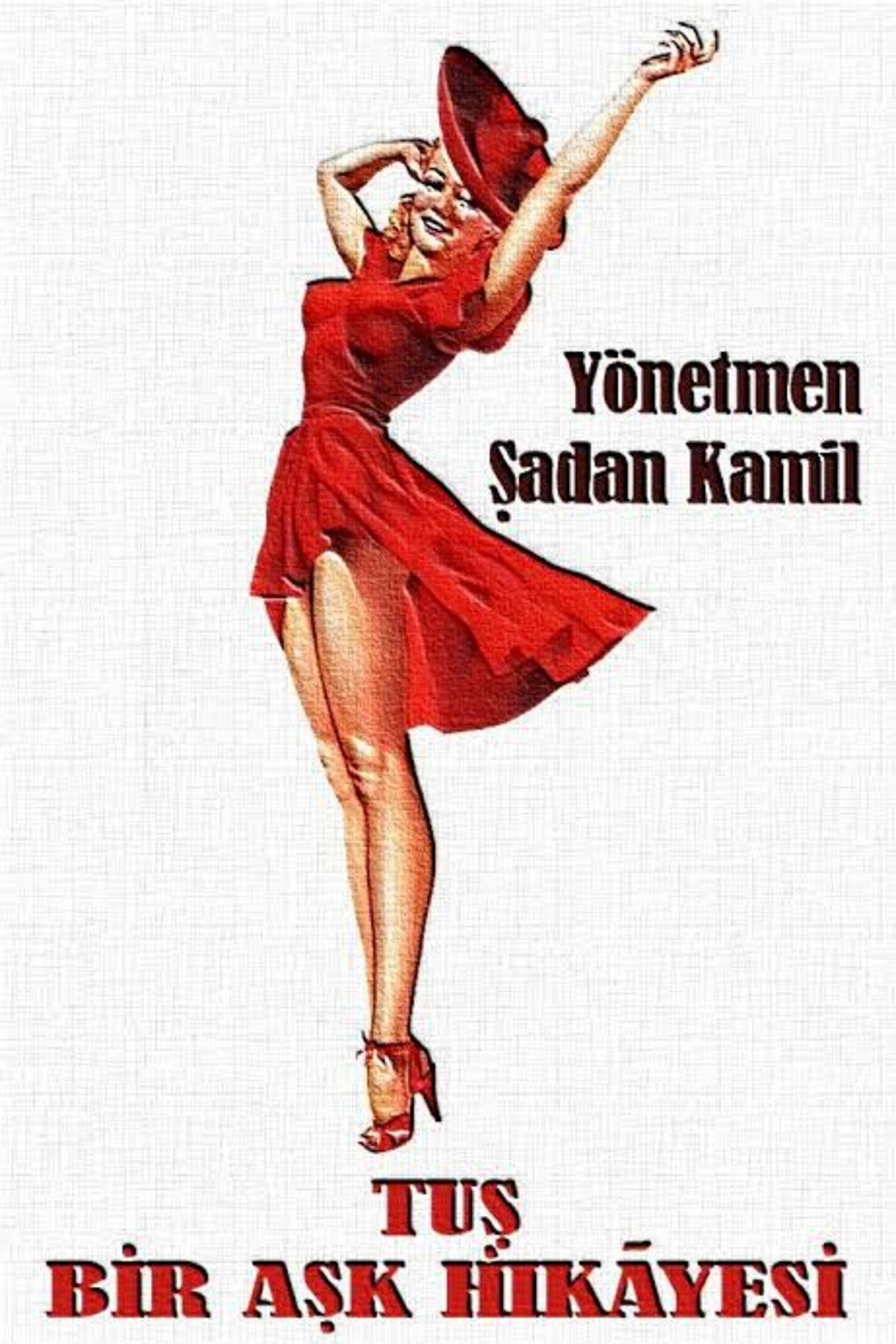 Poster de Bir Aşk Hikâyesi