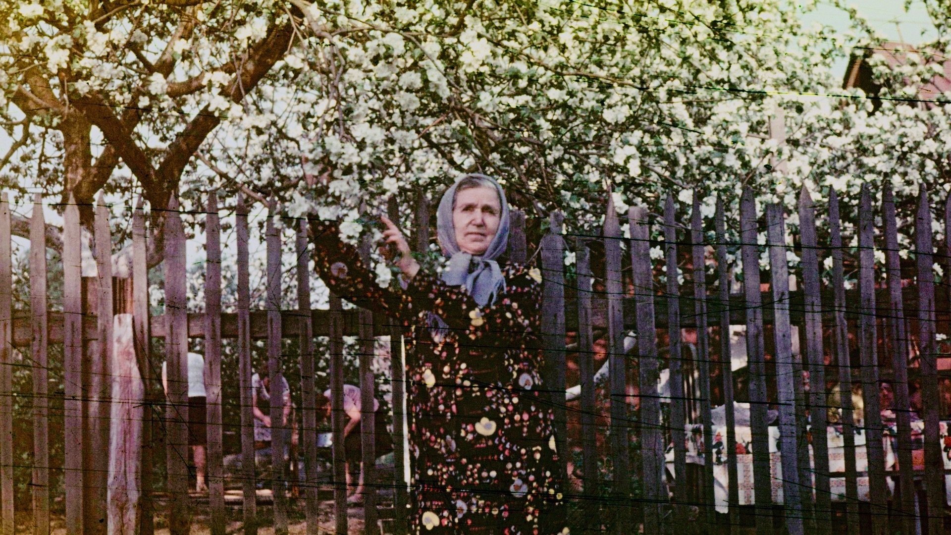 Backdrop image