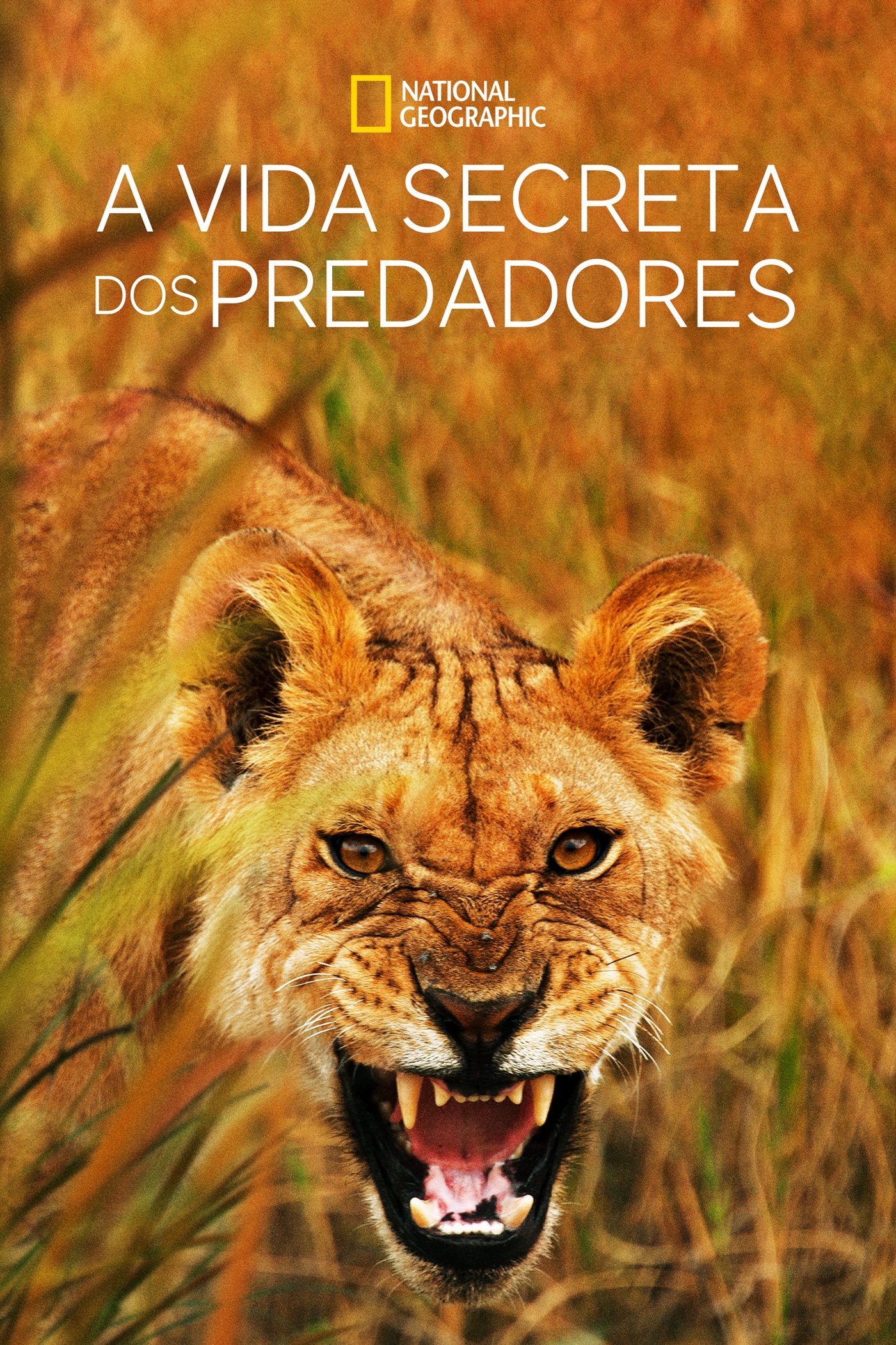 Poster de A Vida Secreta dos Predadores