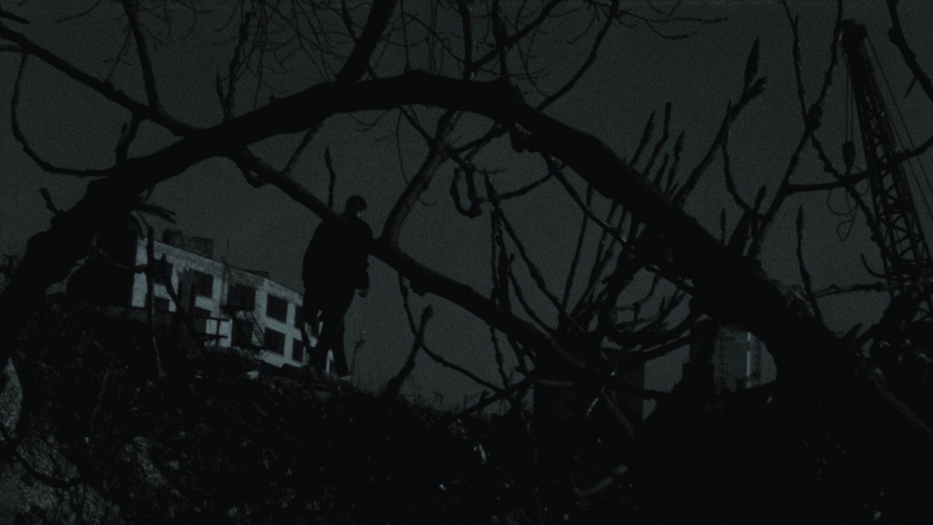 Dedicated to the One Eye Love