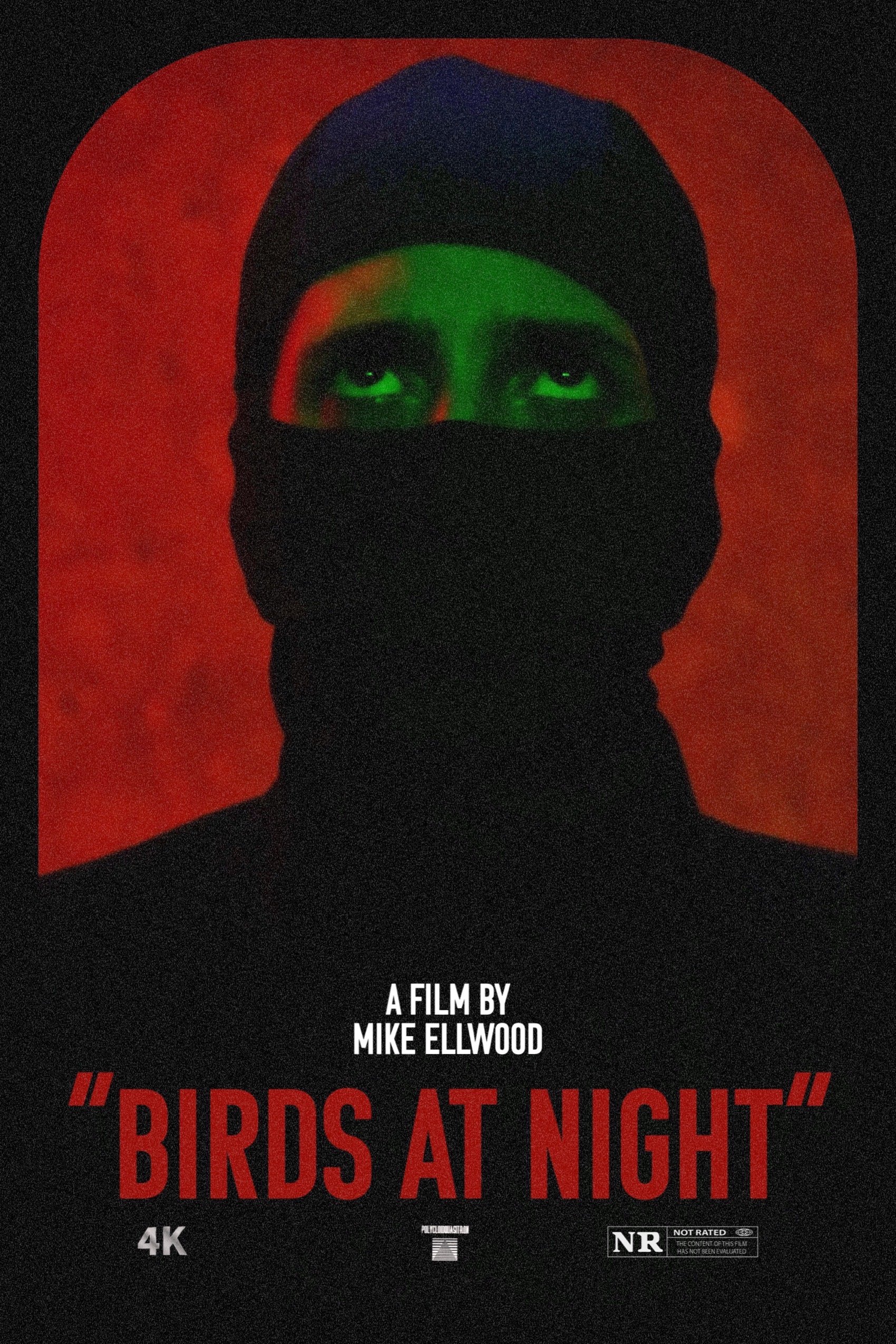 Poster de Birds at Night