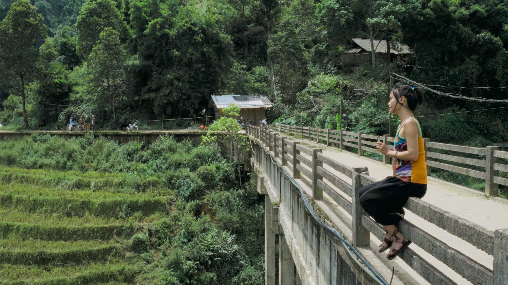 Director