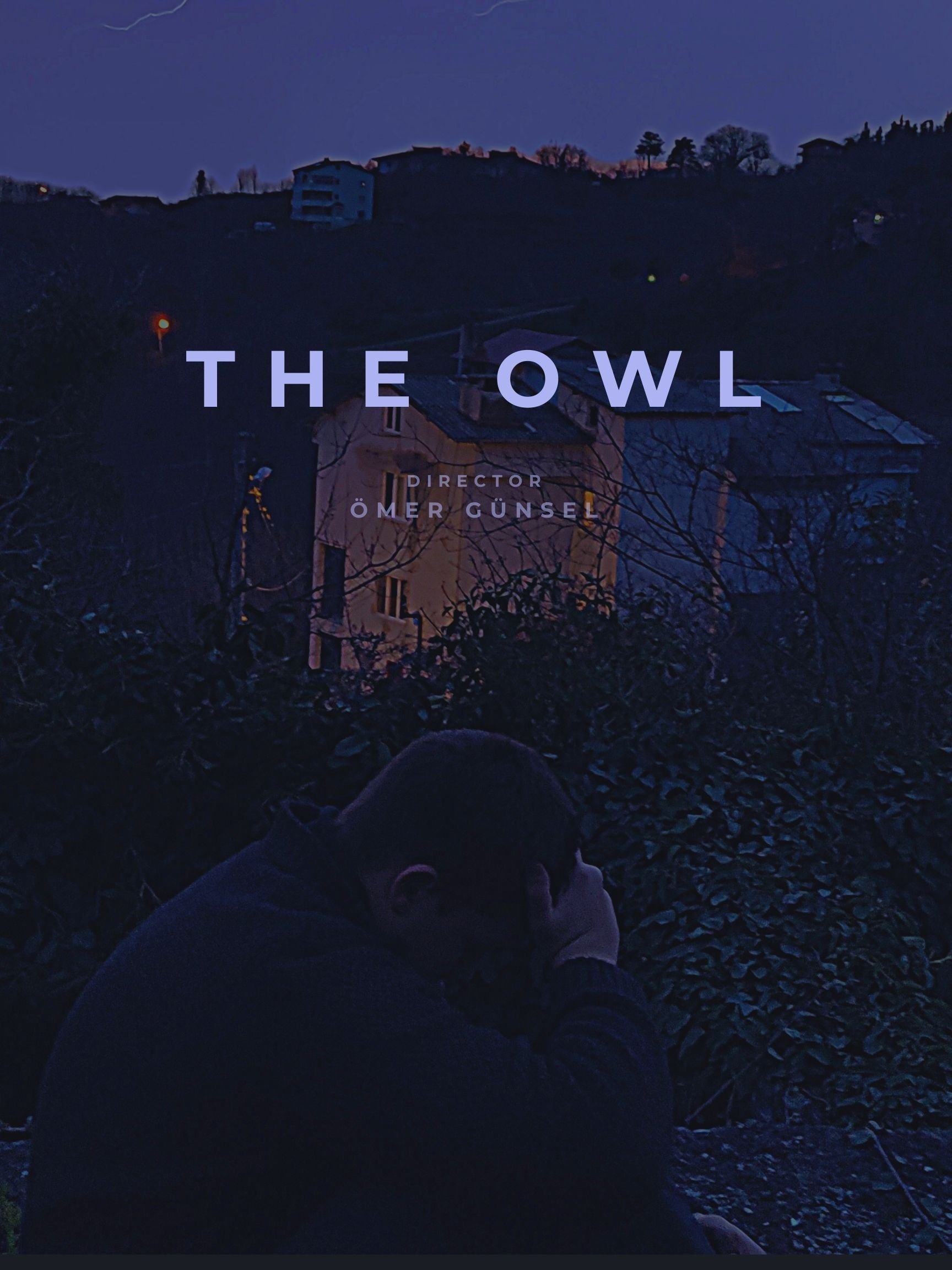 Poster de The Owl
