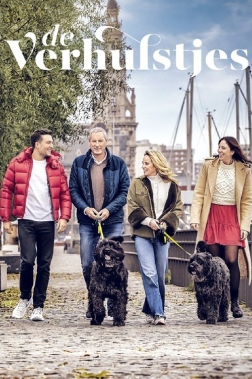 Poster de De Verhulstjes
