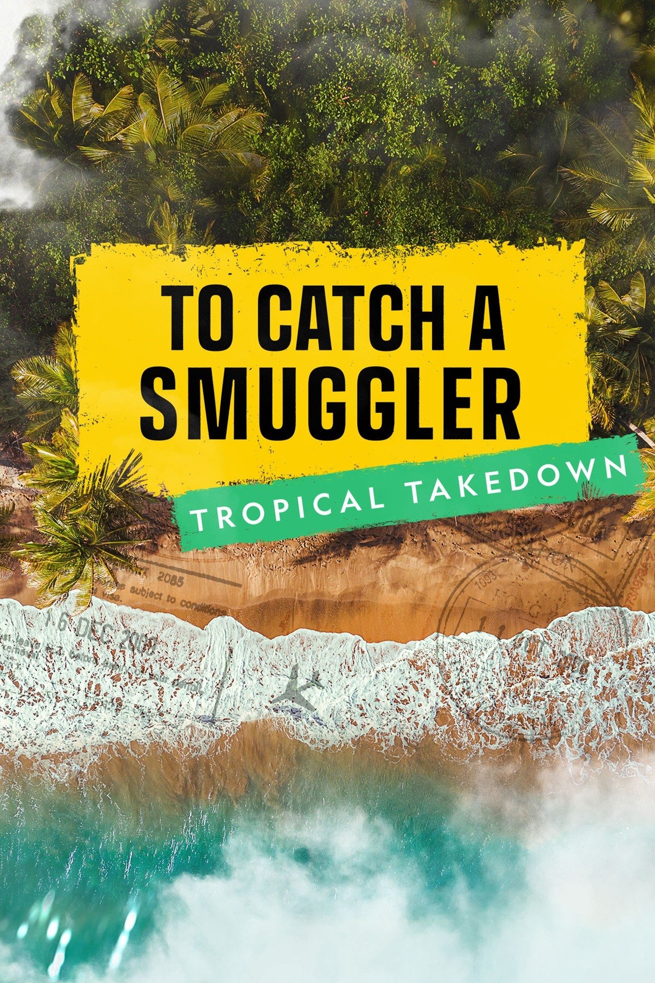 Poster of To Catch a Smuggler: Tropical Takedown